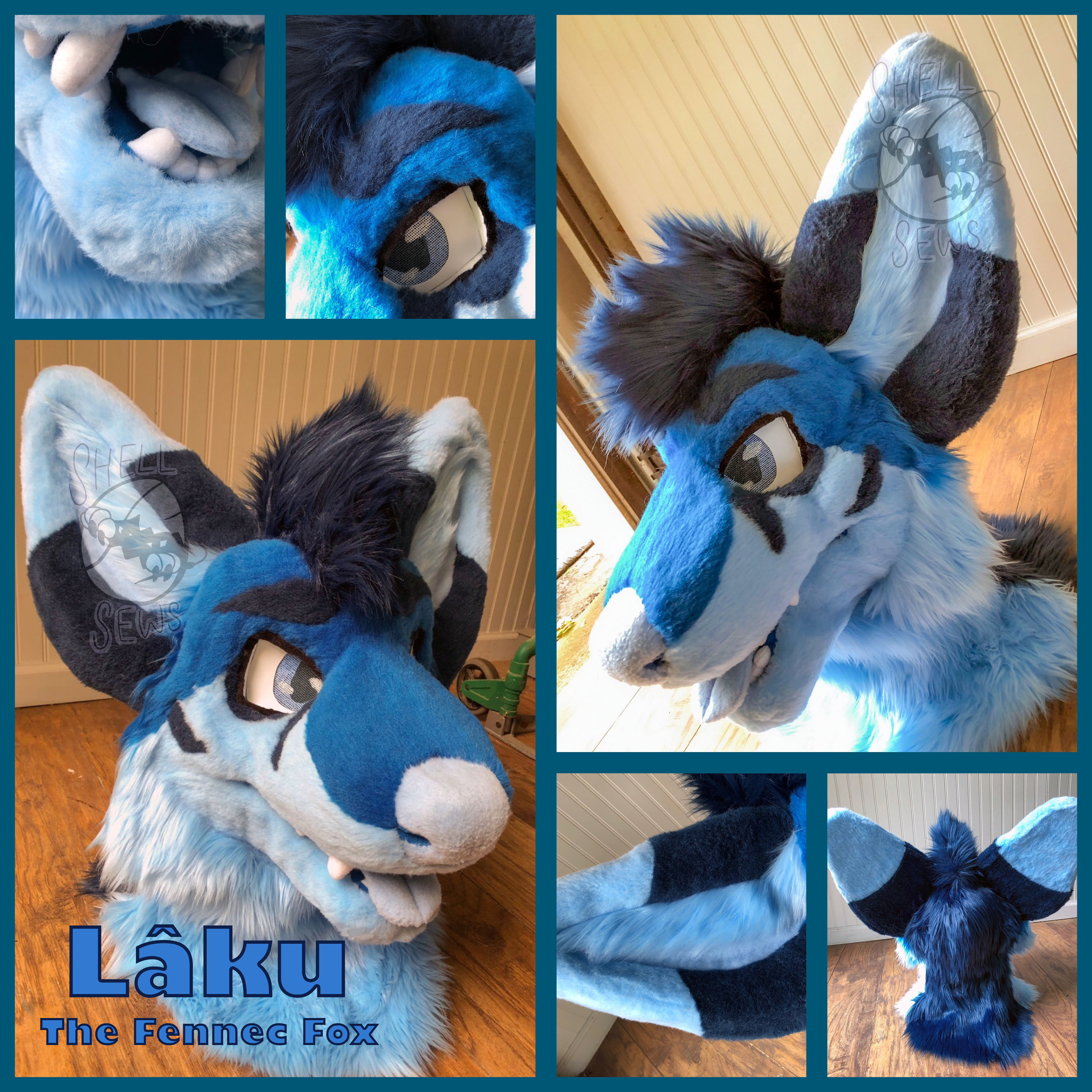 Lâku the Fennec Fox