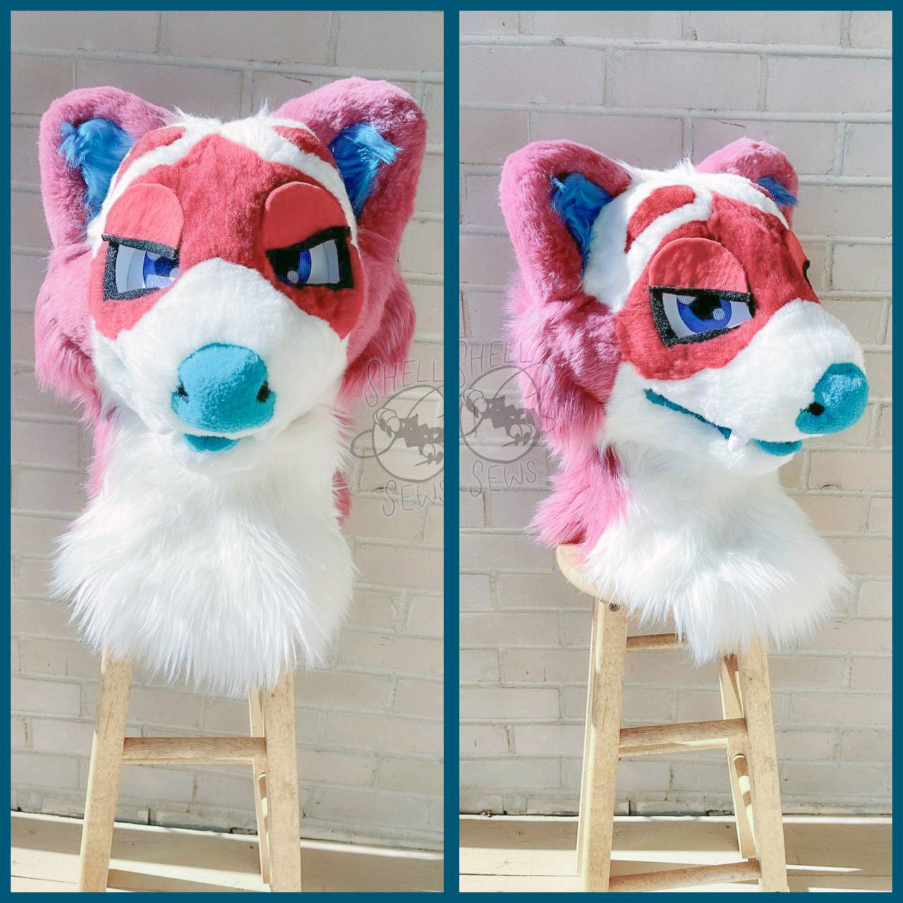 Raccoon Eyelids