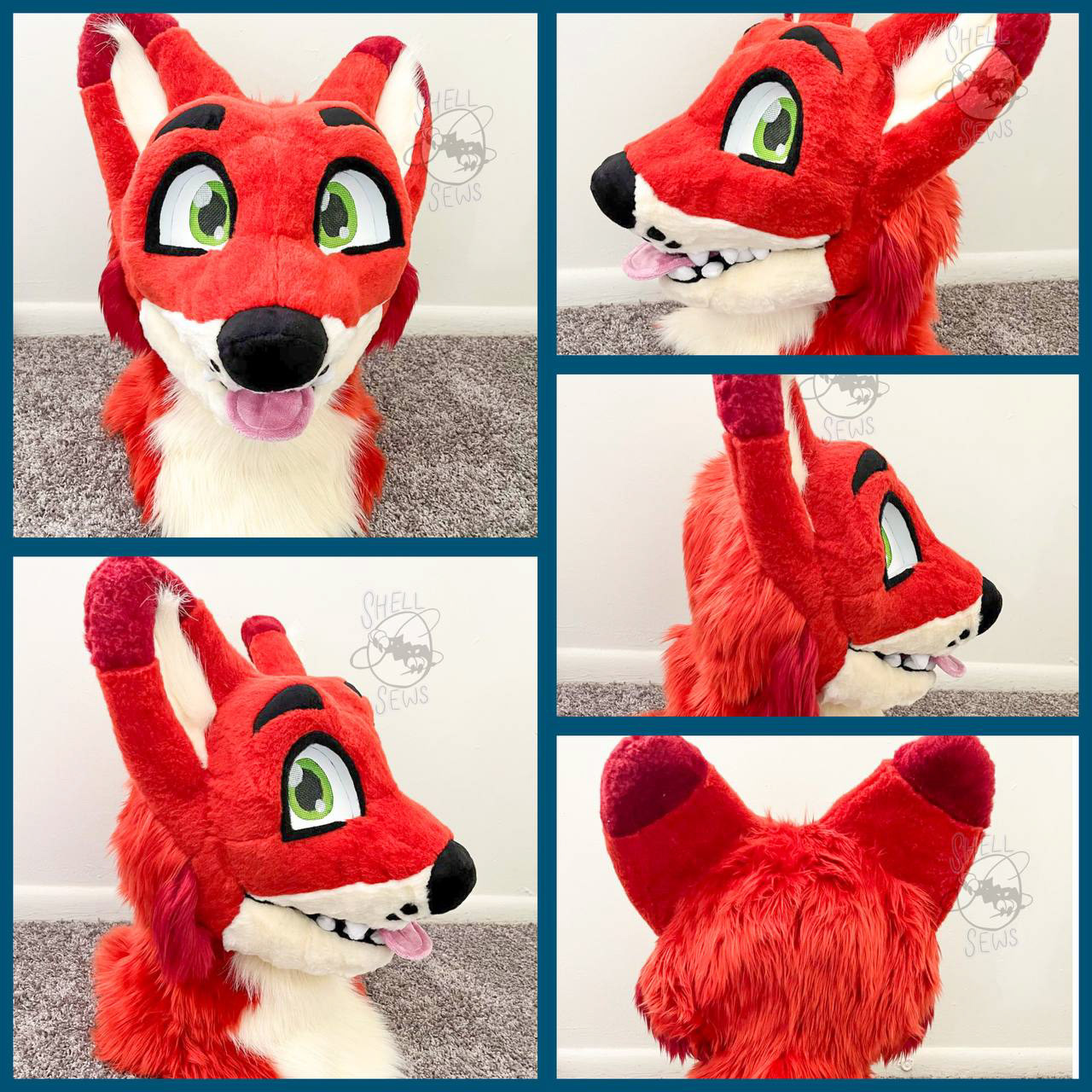 Dhole Premade