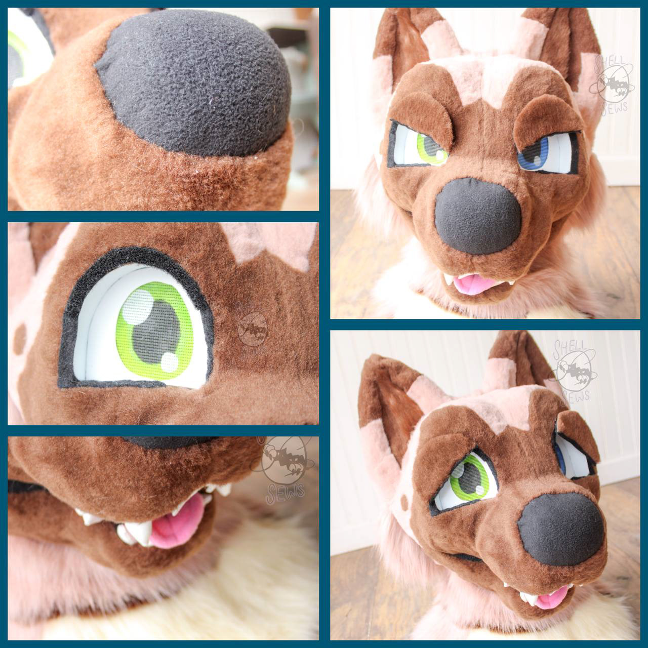 Hiroshi the Akita