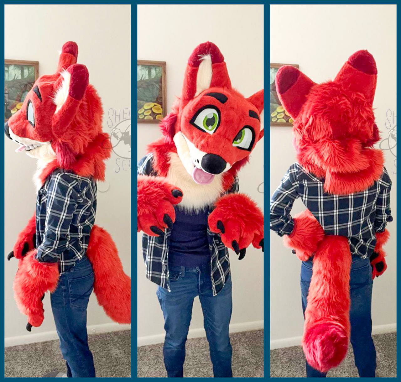 Dhole Premade