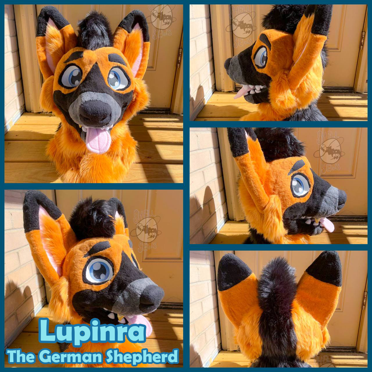 Lupinra the German Shepherd