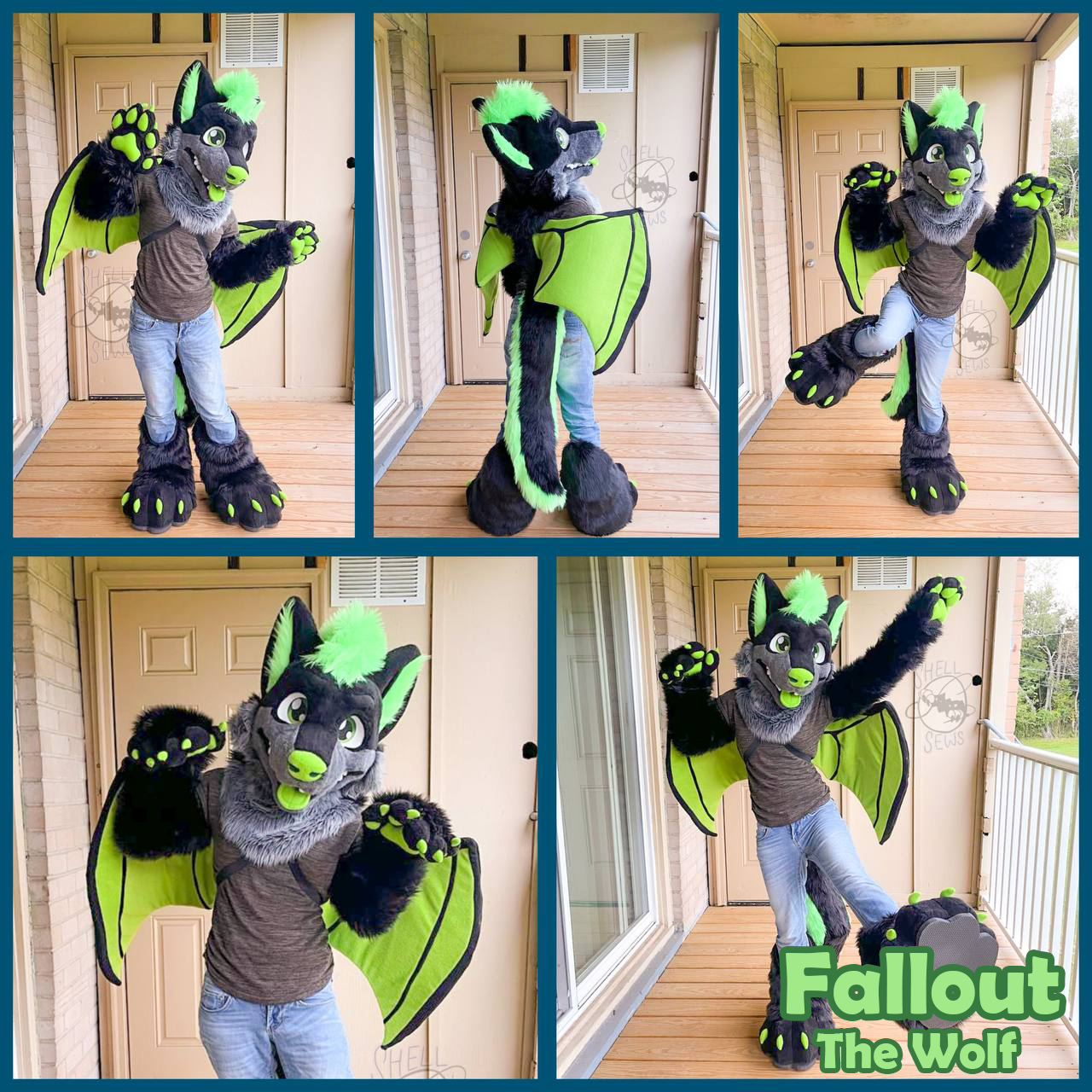 Fallout the Wolf