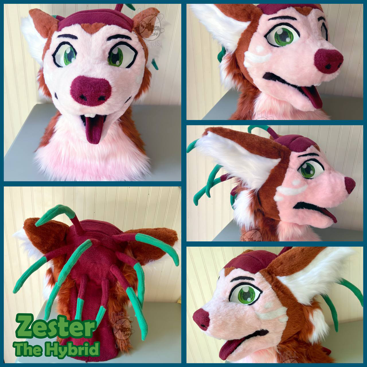 Zester the Armadillo-Porcupine-Flying Squirrel