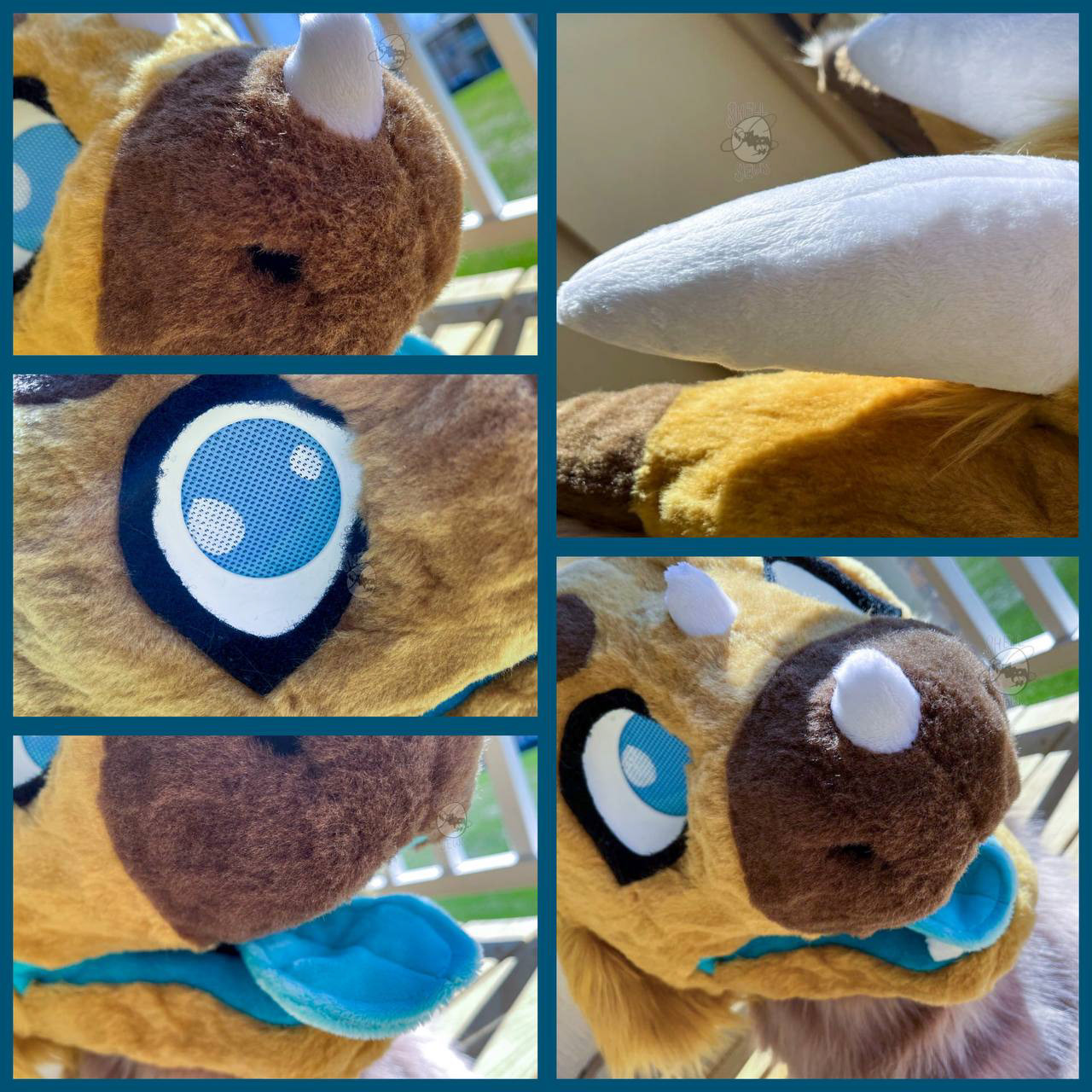Scribble the Dutch Angel Dragon