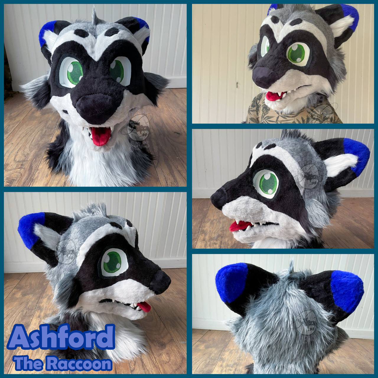 Ashford the Raccoon