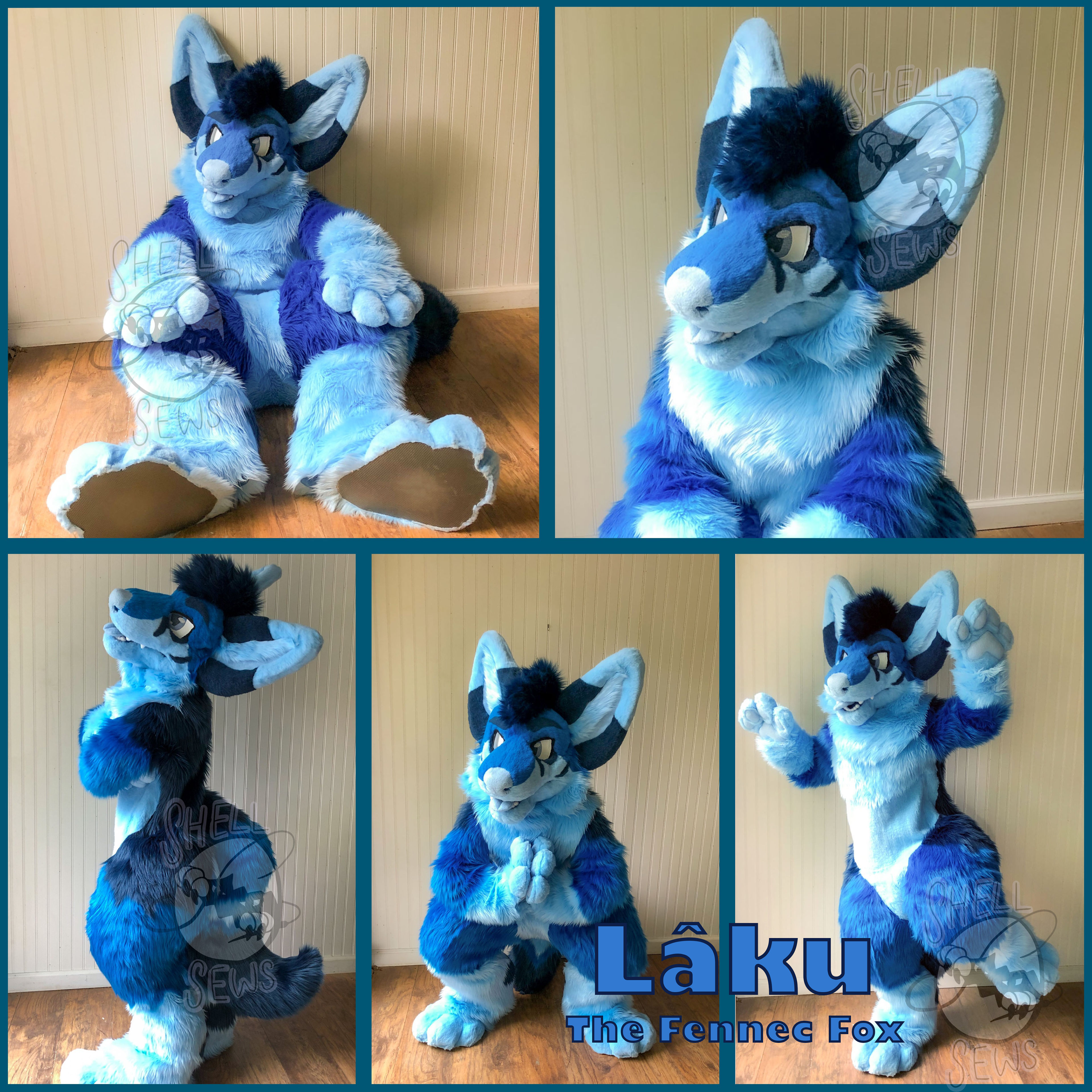 Lâku the Fennec Fox