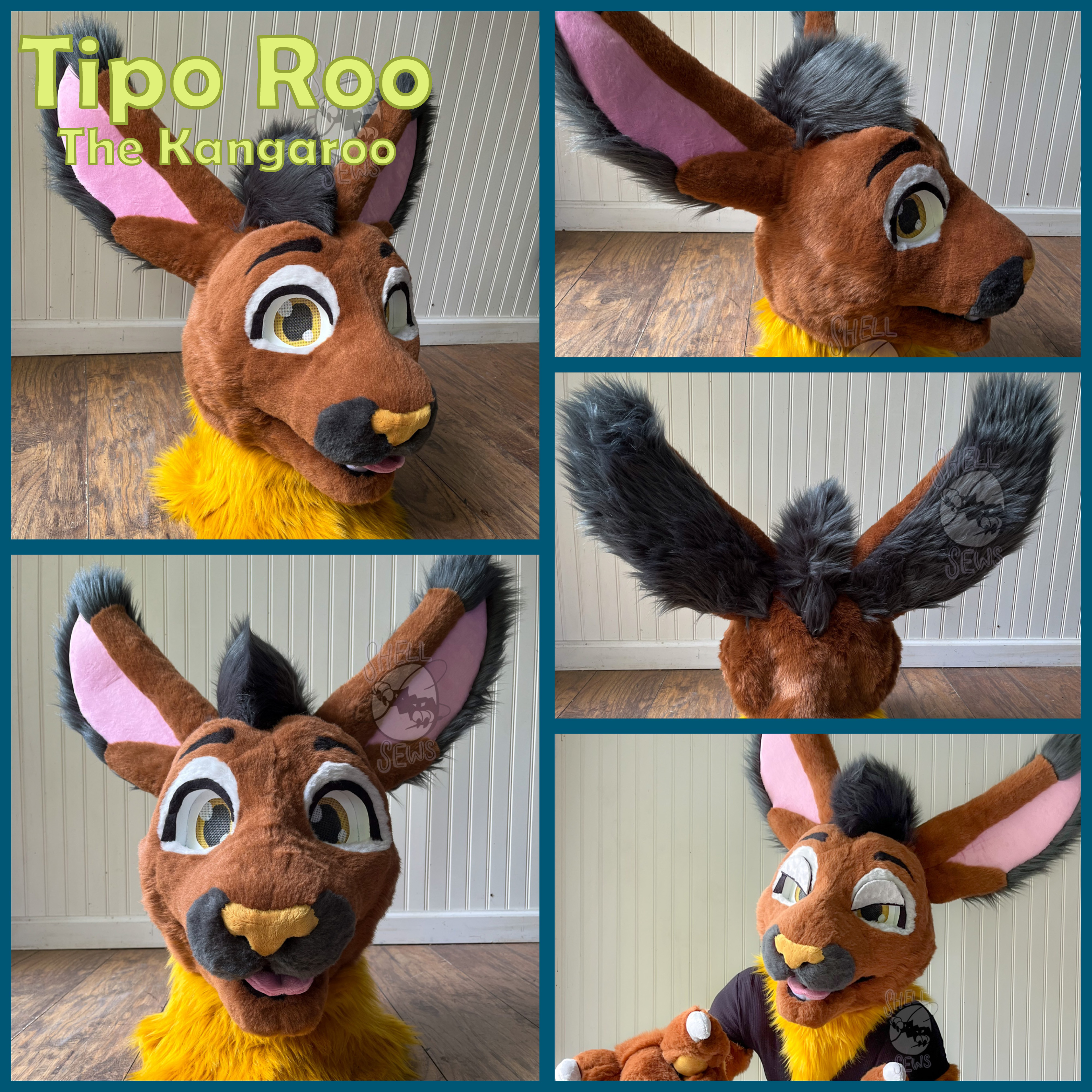 Tipo Roo the Kangaroo