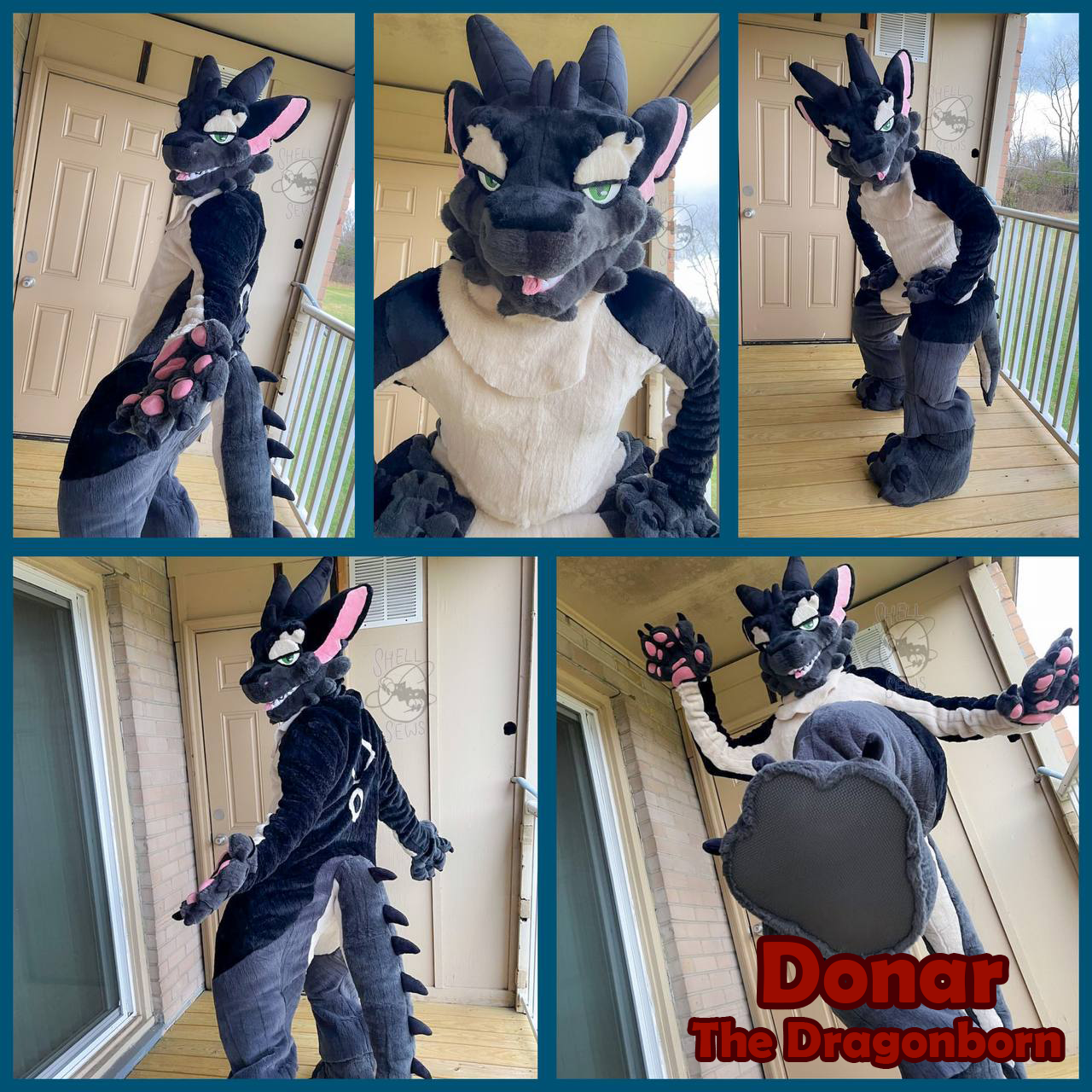 Donar the Dragonborn