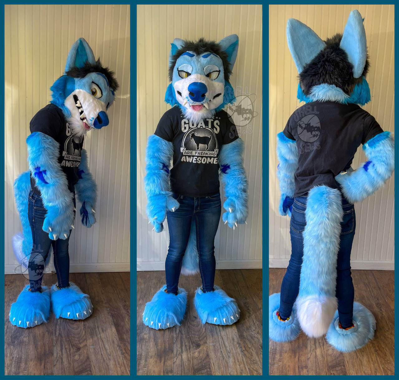 Twin the Coyote