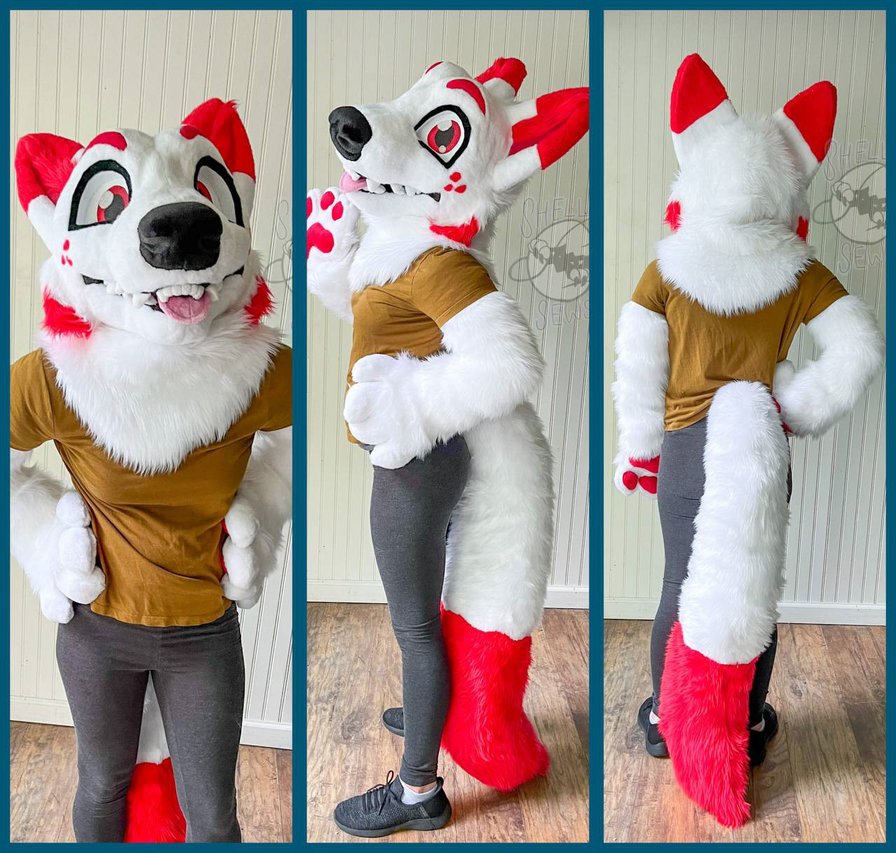 Murry the Arctic Wolf