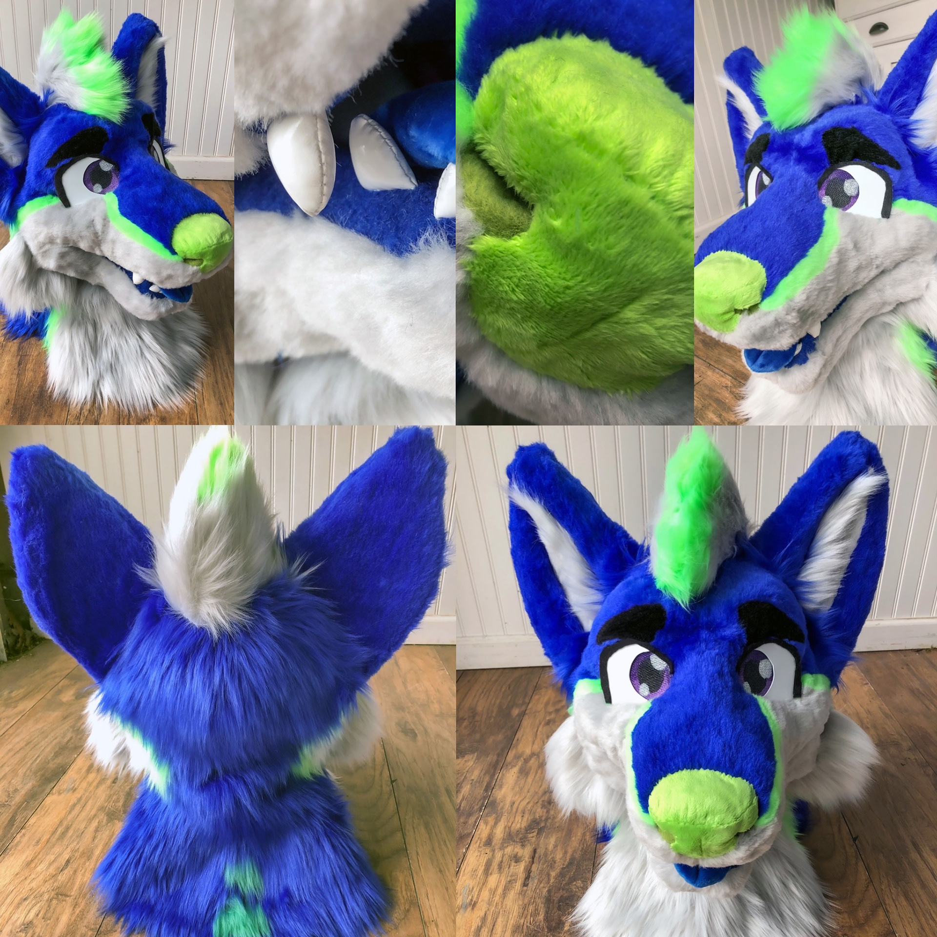 Rio the Fox