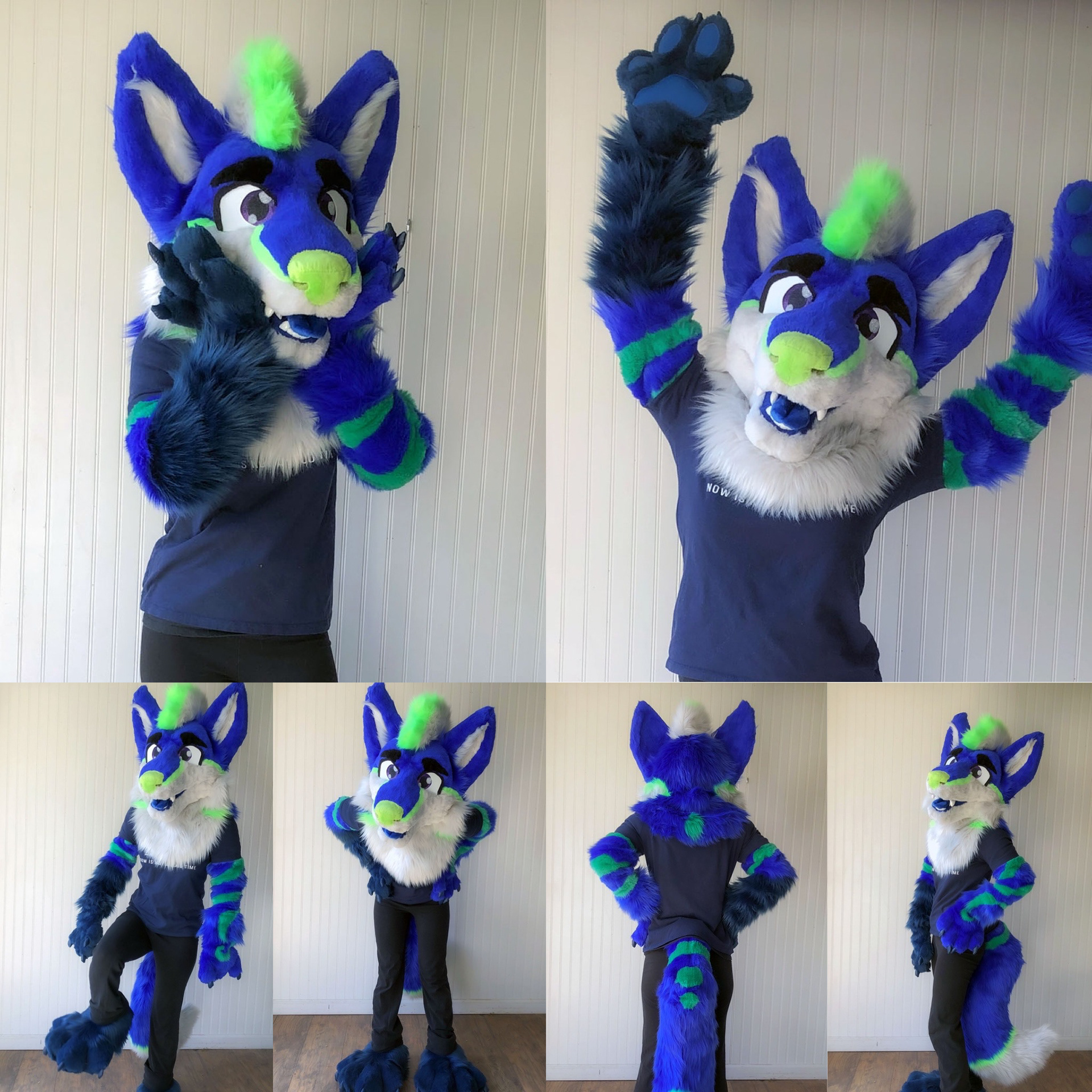 Rio the Fox