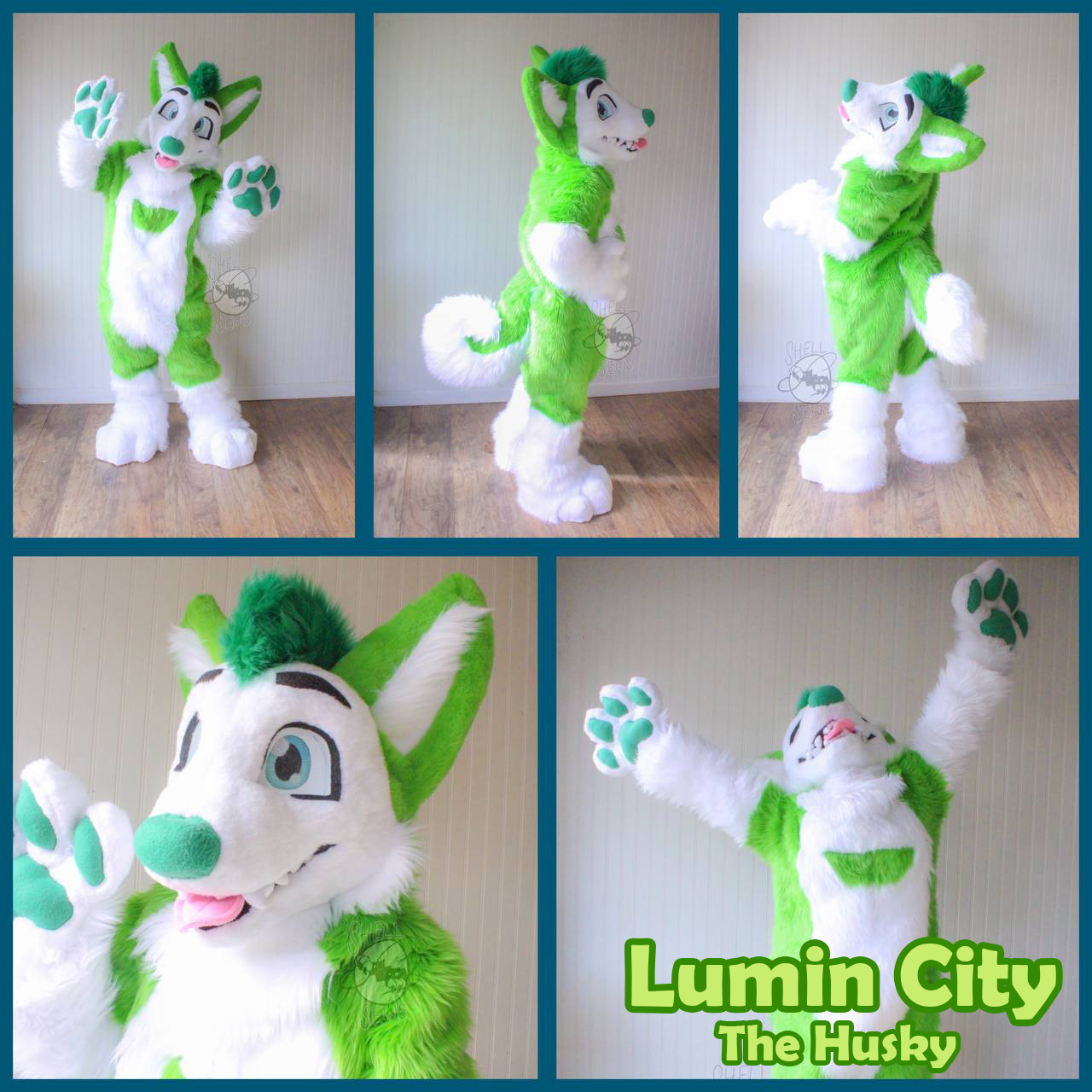 Lumin City the Husky