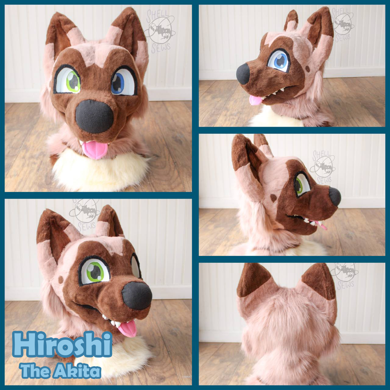 Hiroshi the Akita