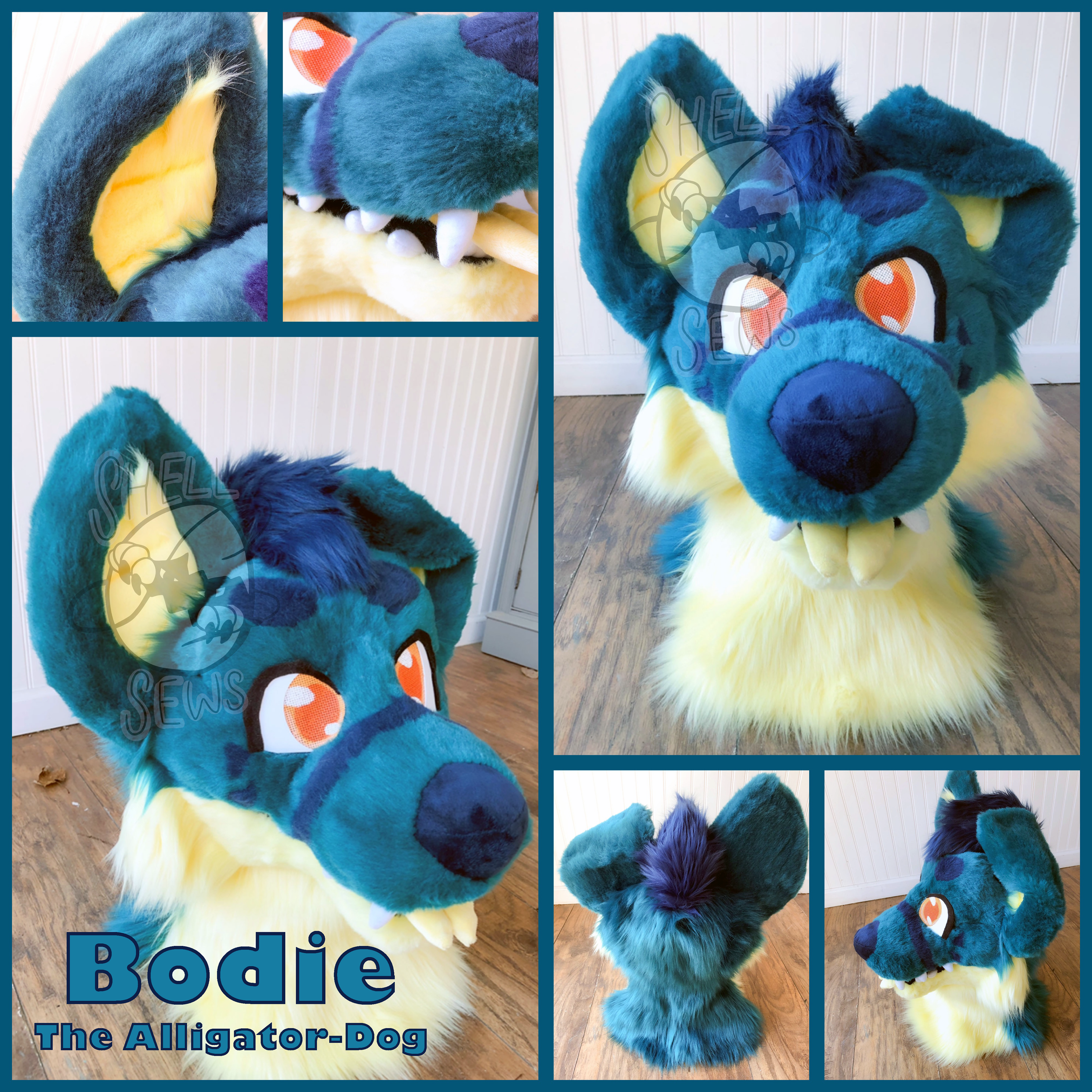 Bodie the Alligator-Dog