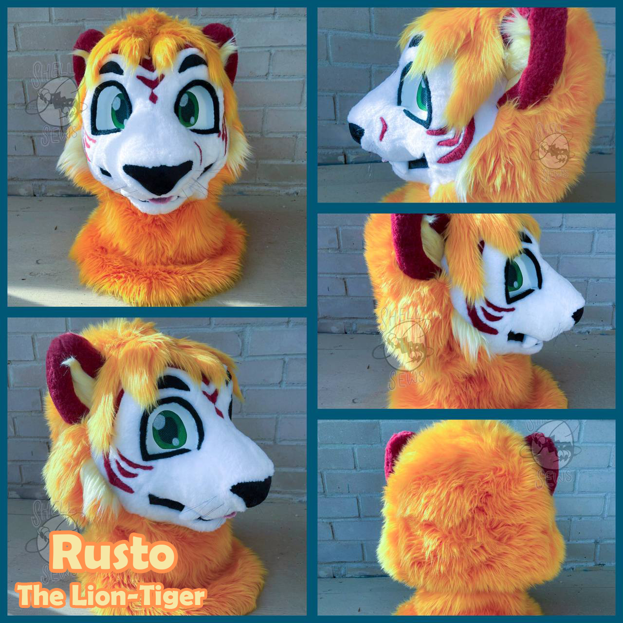 Rusto the Lion-Tiger