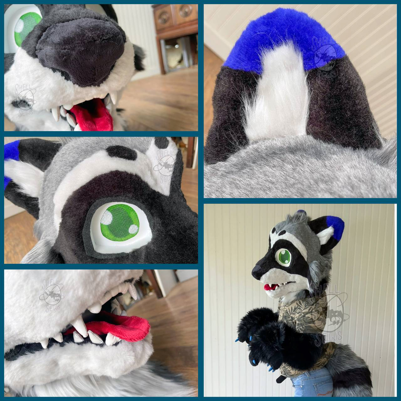 Ashford the Raccoon