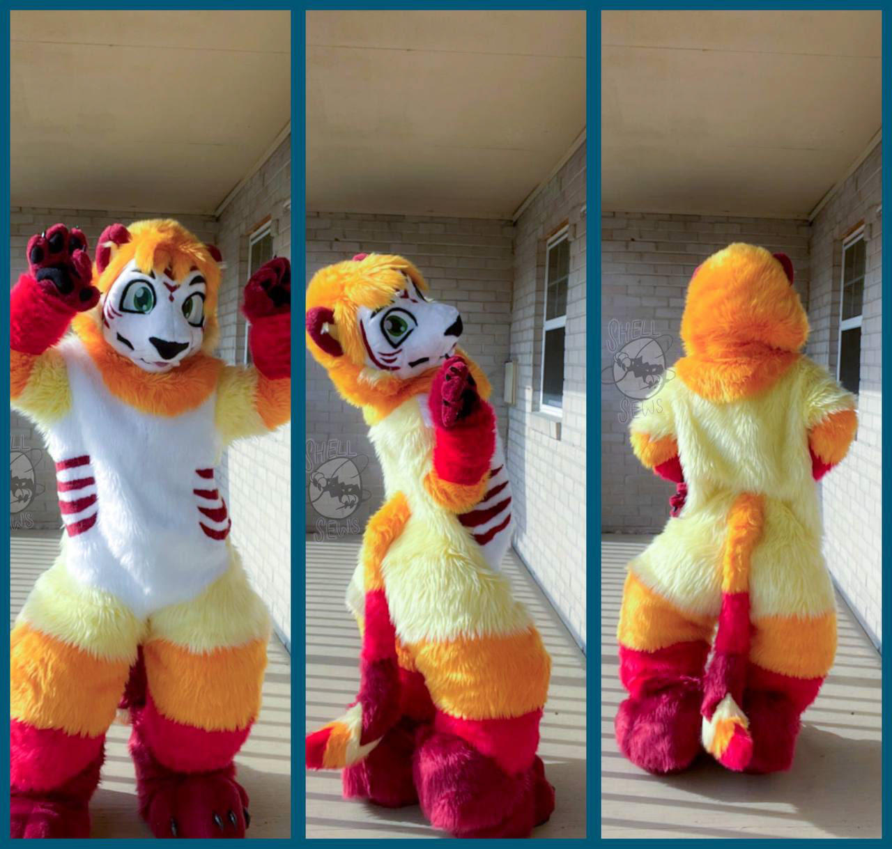 Rusto the Lion-Tiger