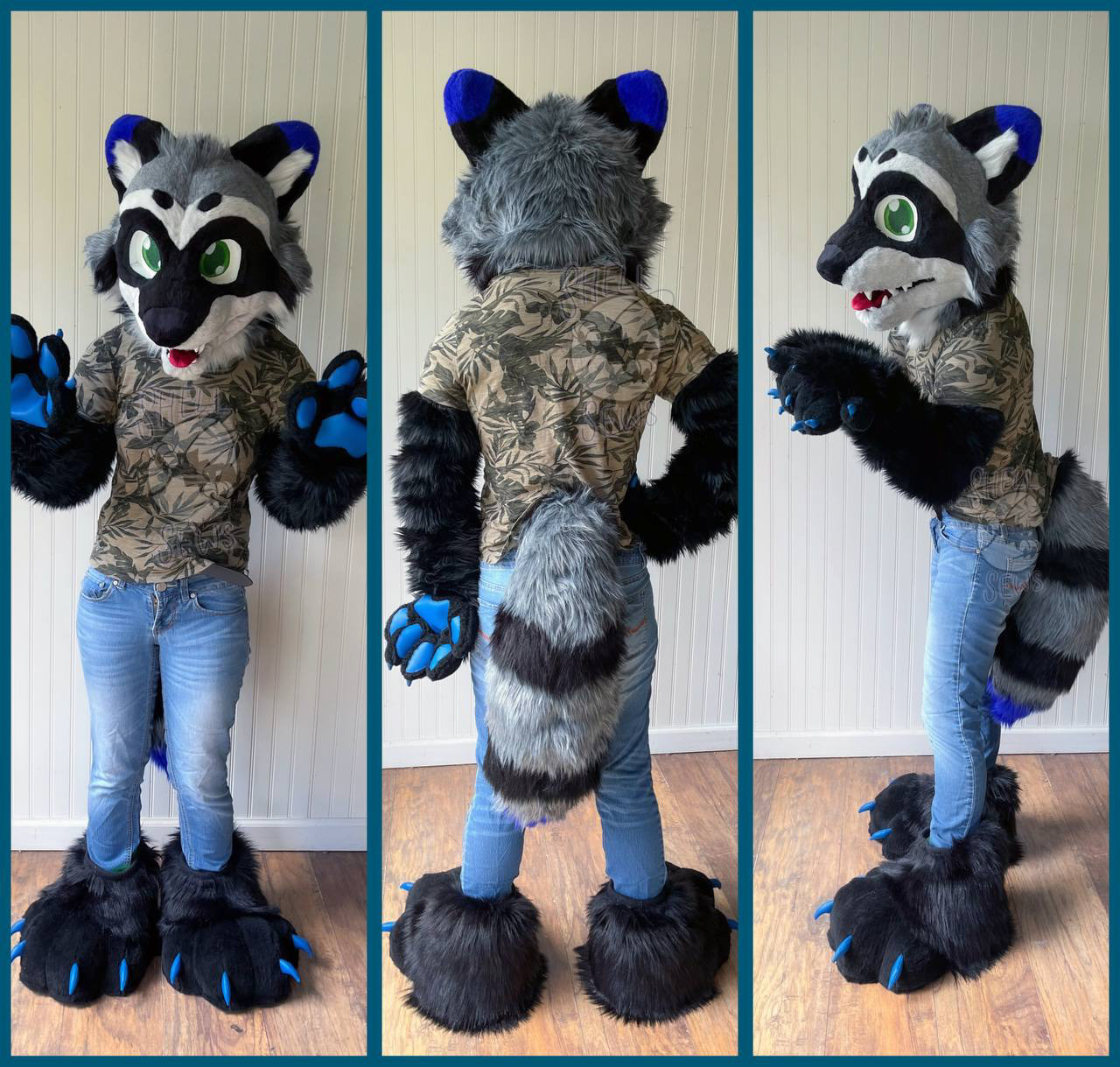 Ashford the Raccoon