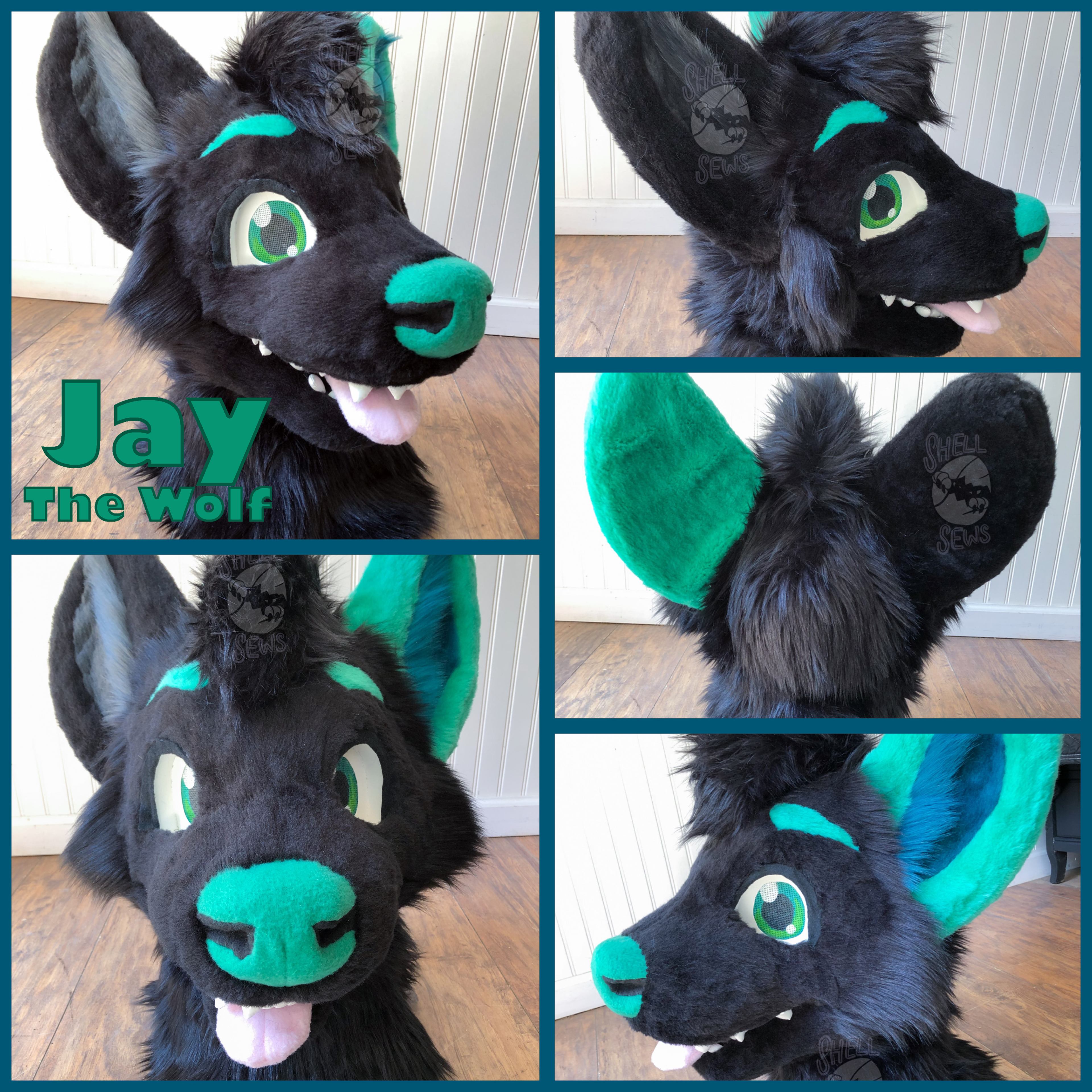 Jay the Wolf