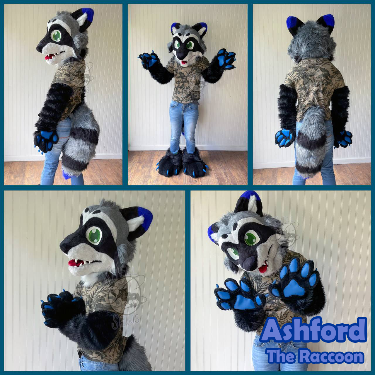 Ashford the Raccoon