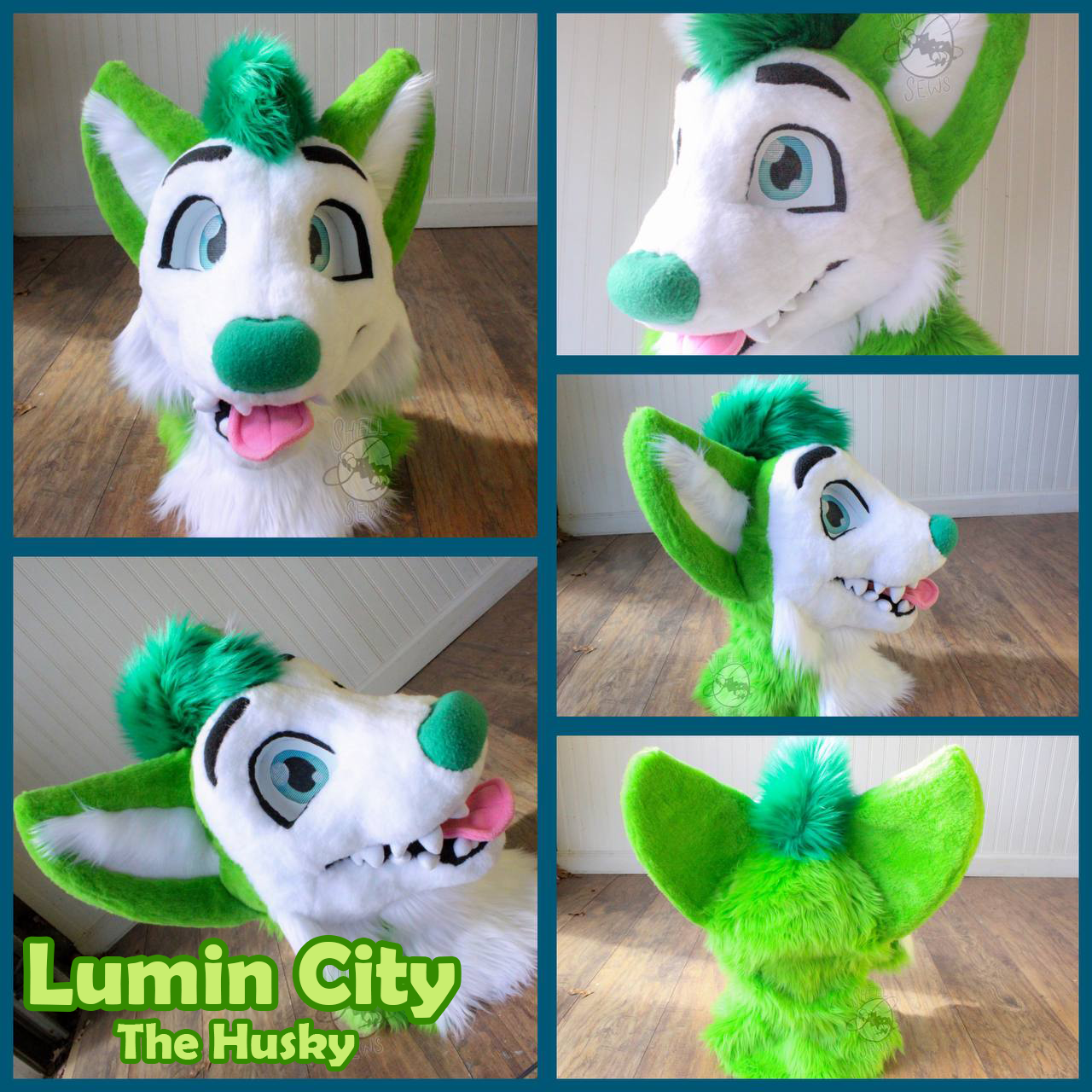 Lumin City the Husky