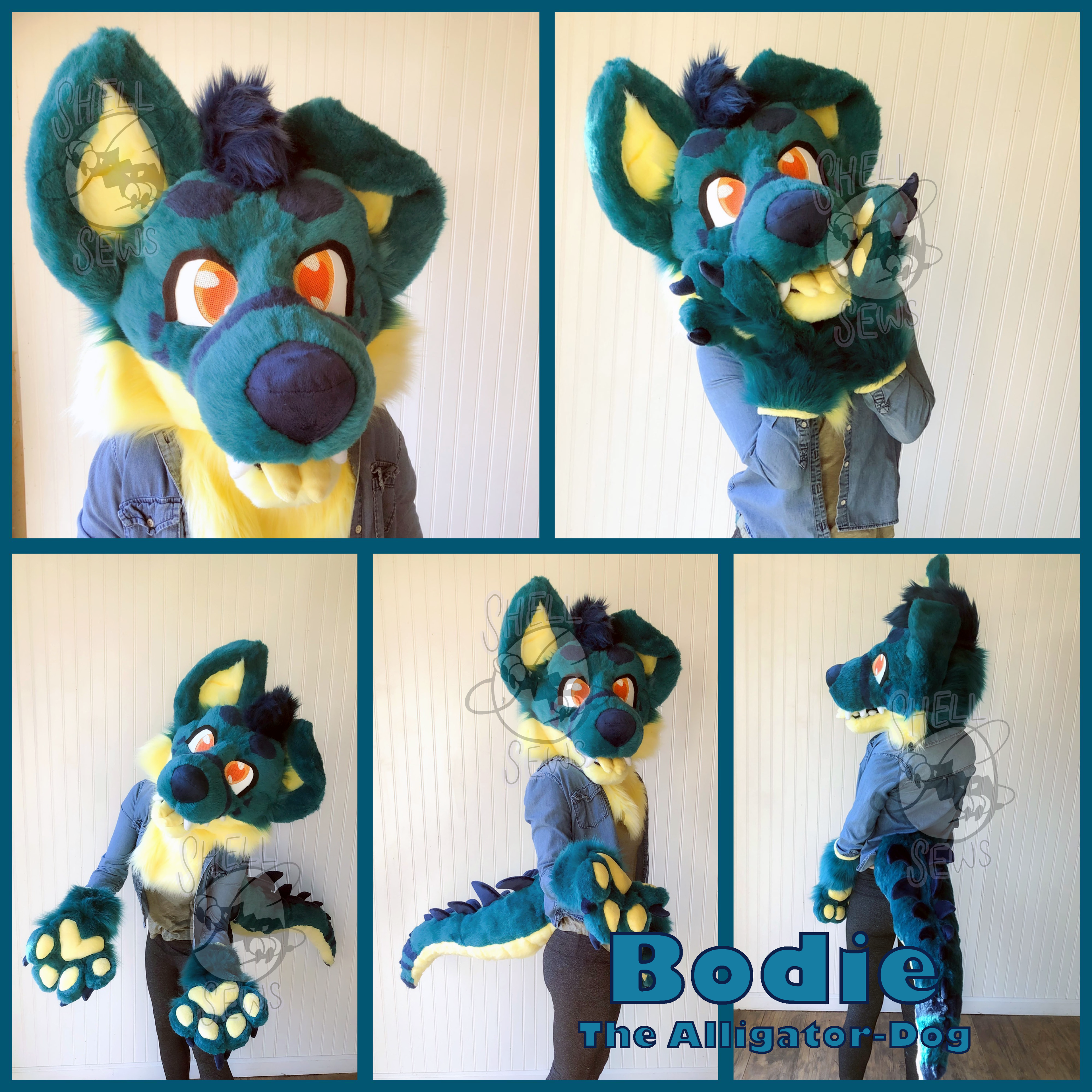 Bodie the Alligator-Dog