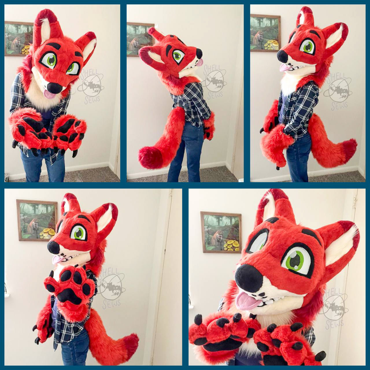 Dhole Premade