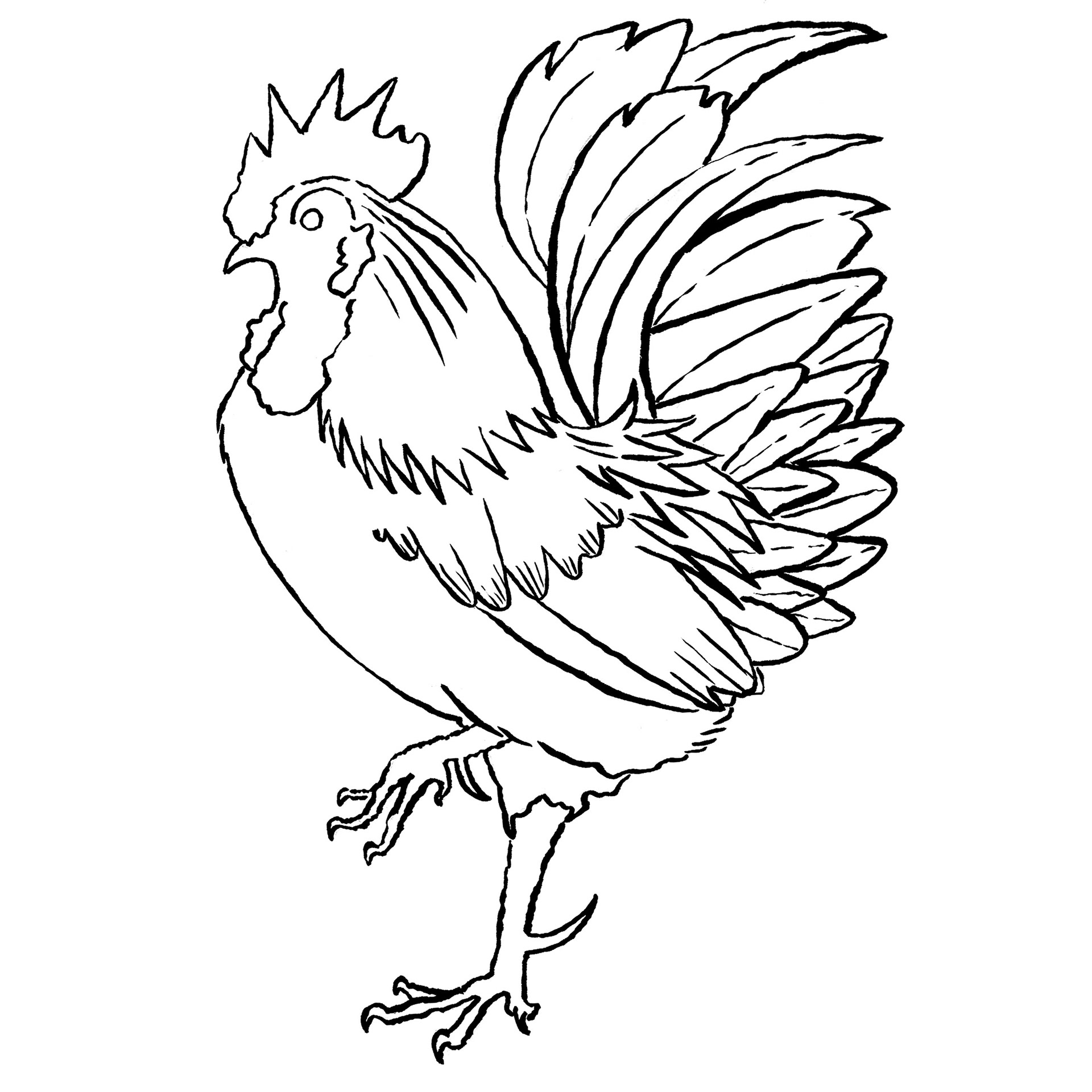 Cockerel - Ink