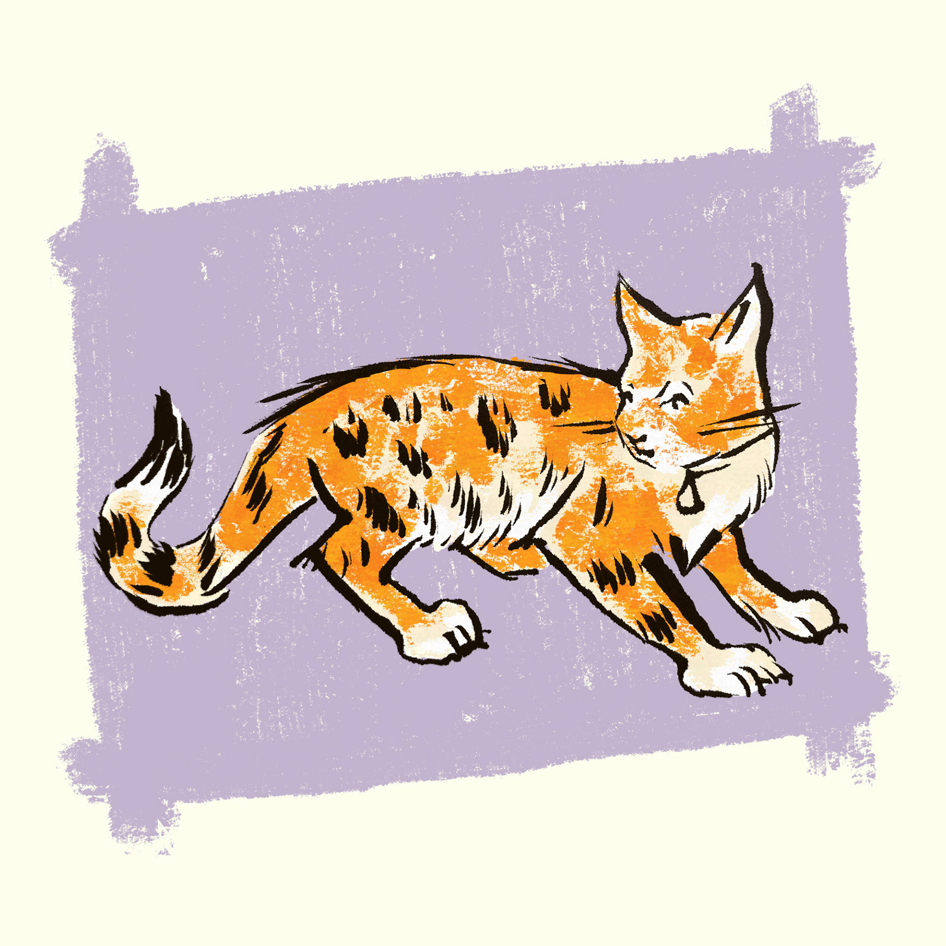 Magical Cat - Ink, Digital Colour