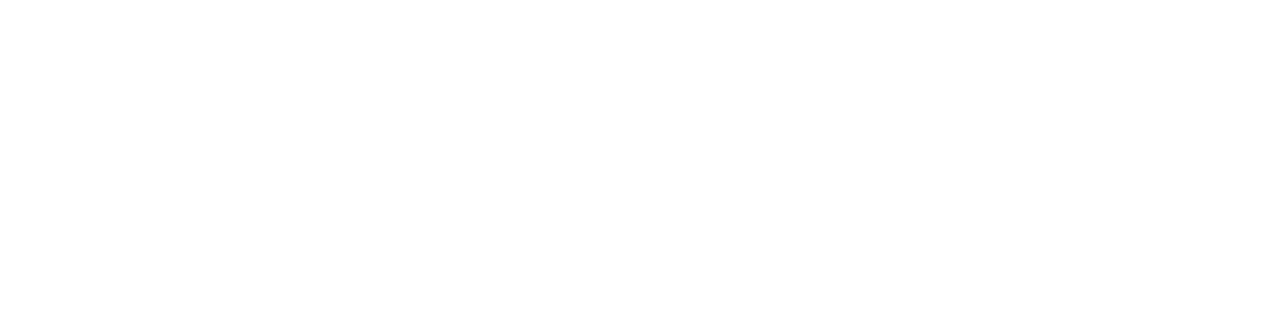 Steve Jr. Media