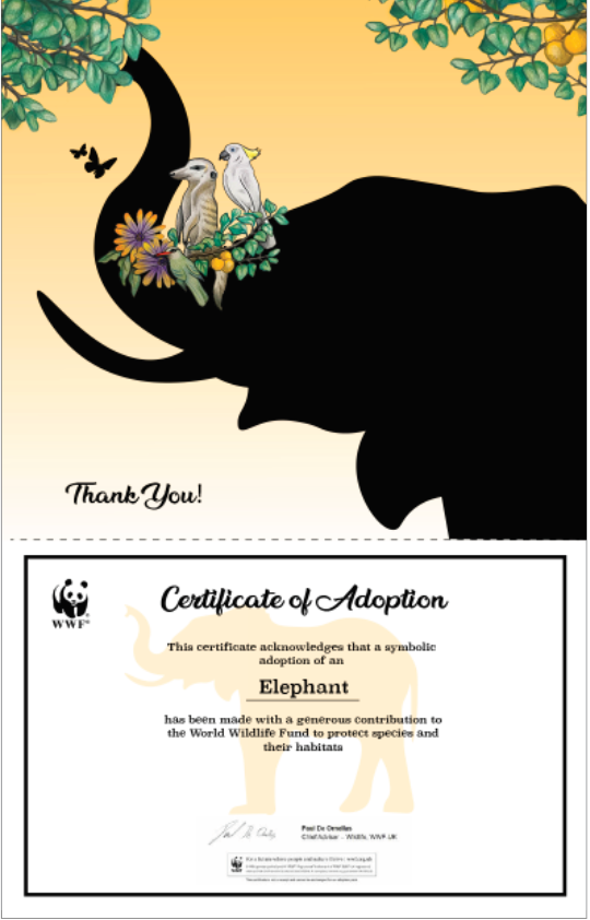 Certificate and poster