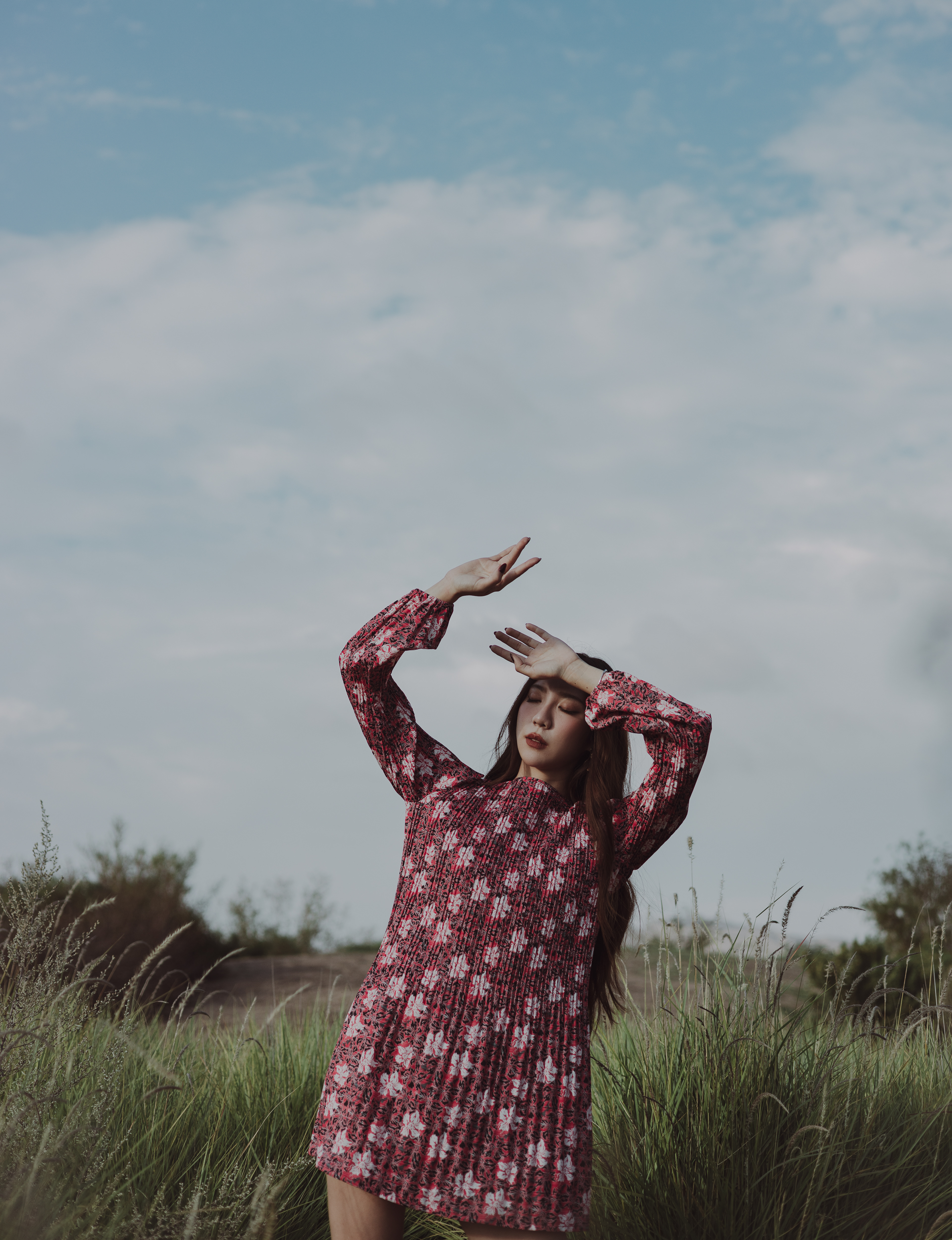 Editorial fashion photograph of a woman in a red and pink patterned long-sleeve mini dress, posing with her arms raised among tall grasses beneath a cloudy sky.