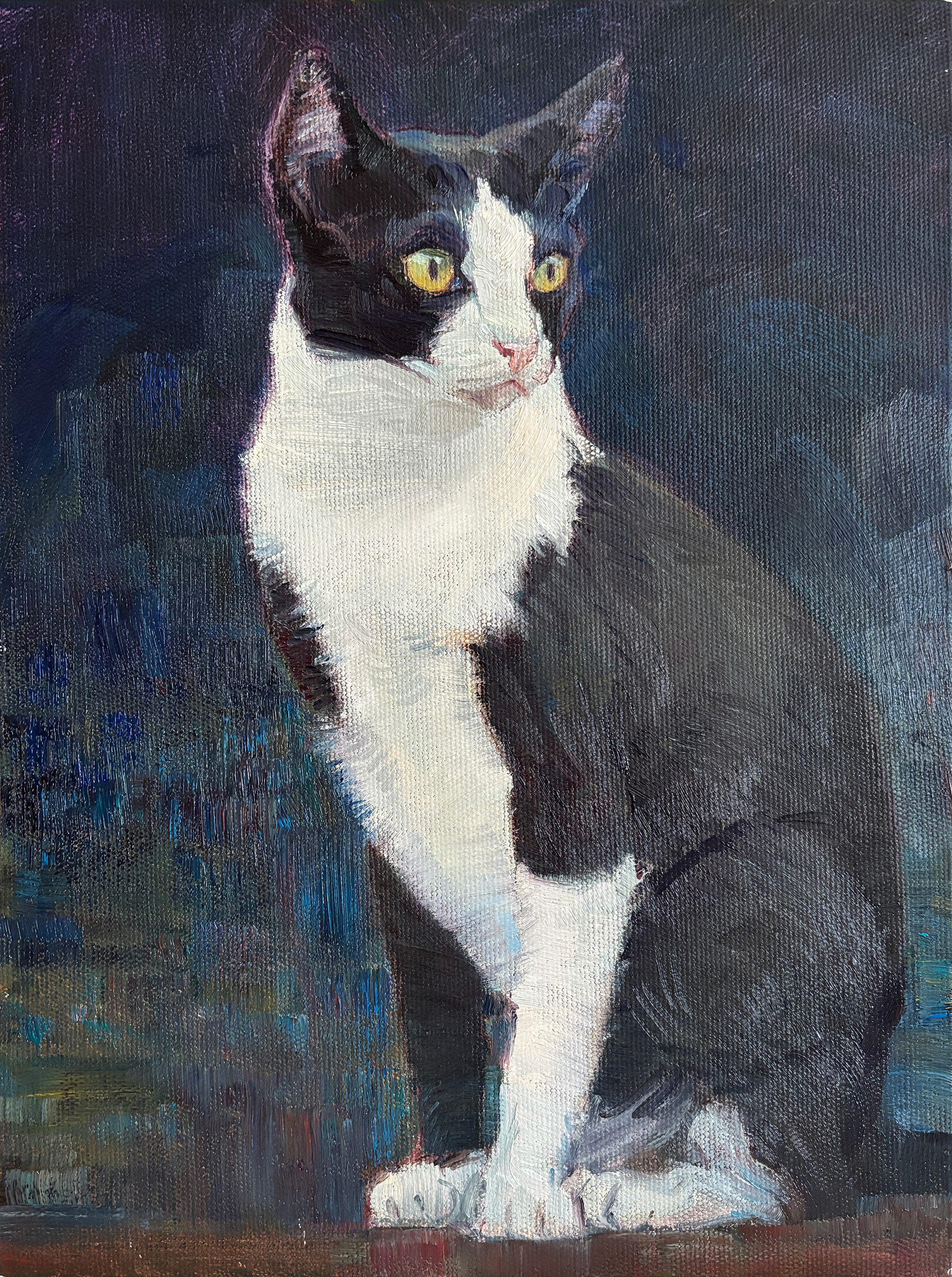 Oil painting of a black and white tuxedo cat with yellow eyes sitting against a dark blue background, custom pet portrait