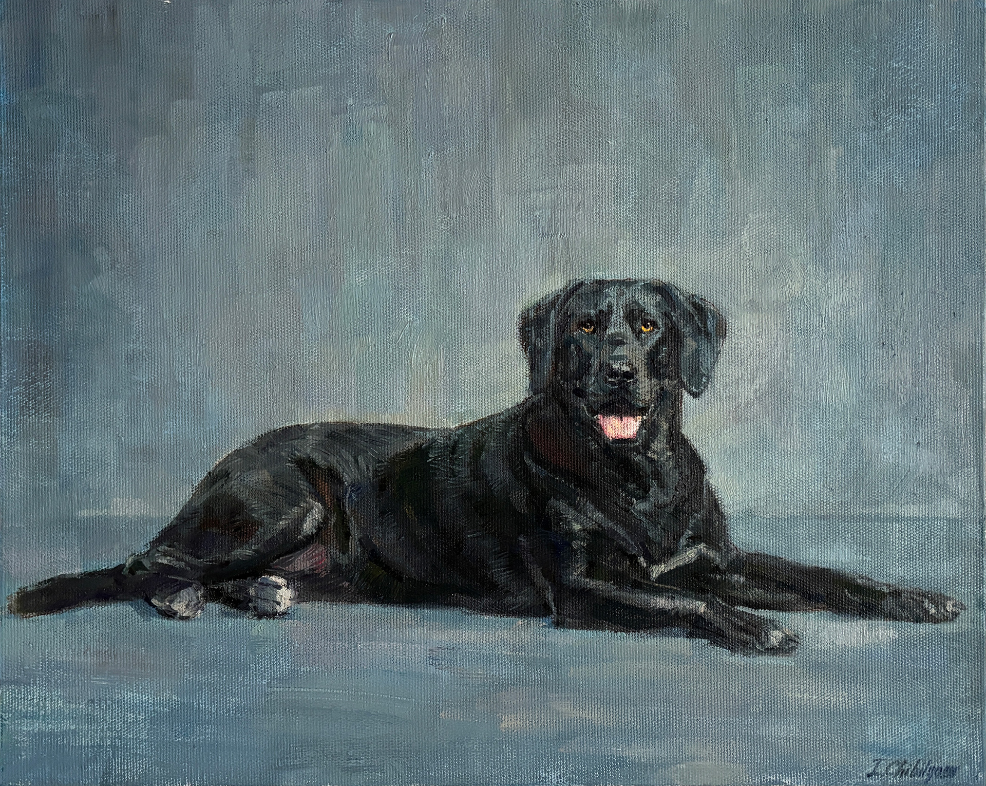 Oil painting of a black Labrador with amber eyes lying on a blue-gray background, custom pet portrait
