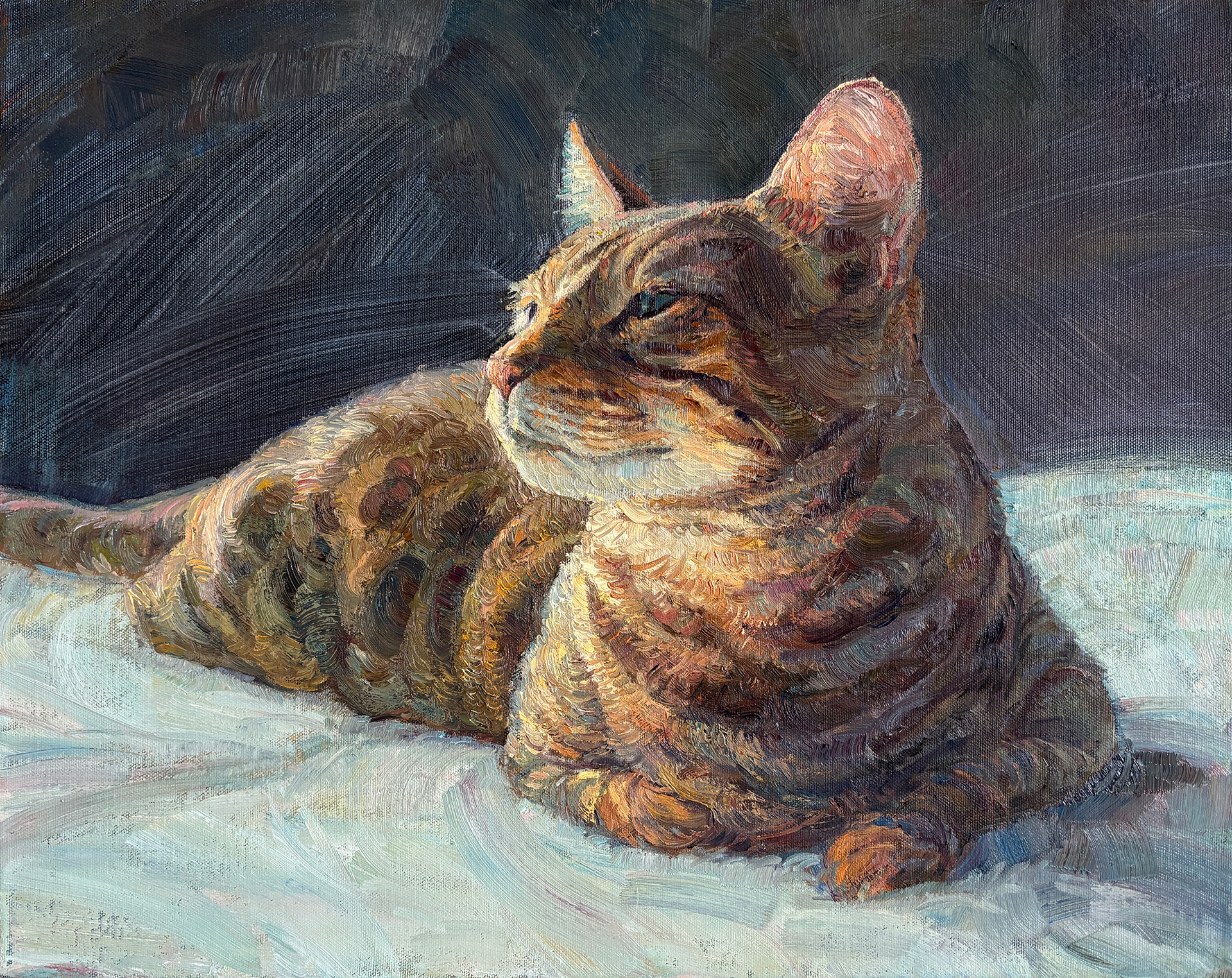 Oil painting of a tabby cat resting in warm sunlight on a pale blue blanket, custom pet portrait