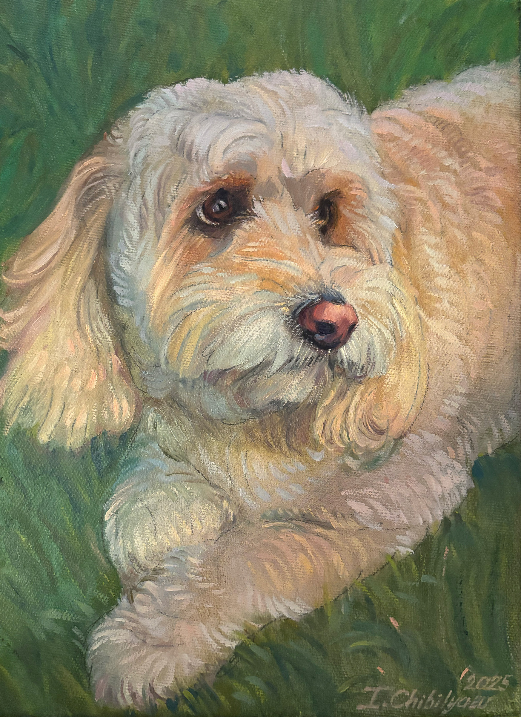 Oil painting of a fluffy cream-colored dog with dark eyes resting on green grass, custom pet portrait