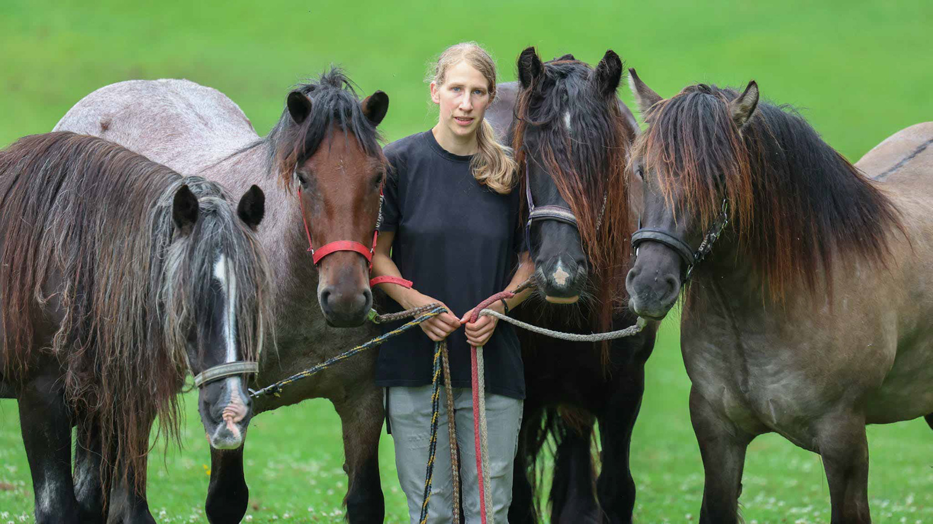 Meike Eggelsmann mit ihren eigenen vier Ponies. Darunter sind auch Dales Ponies.