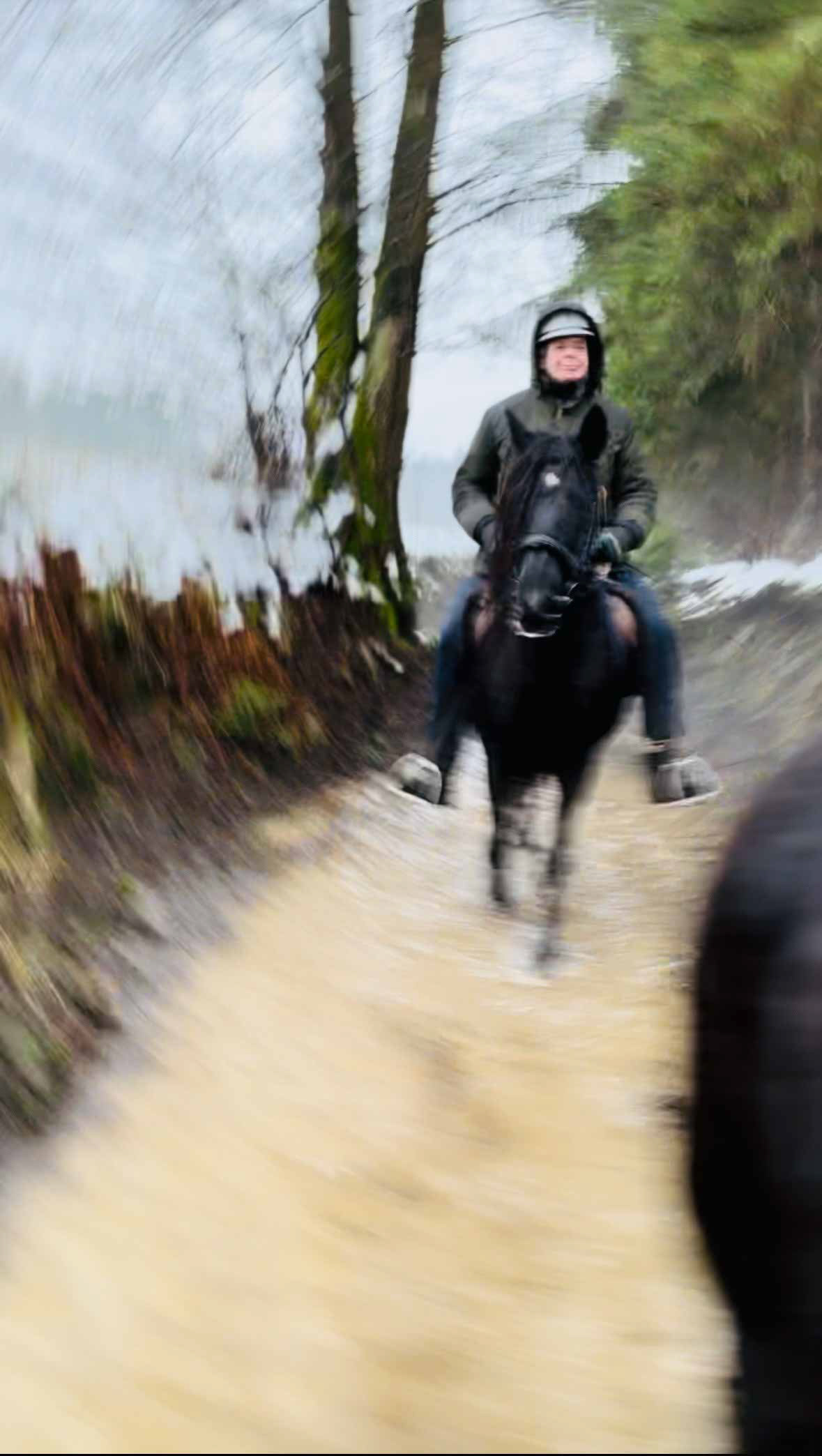 Dr. Andreas Wiederhold reitet durch einen Wassergraben in der Südheide auf einem Dales Pony