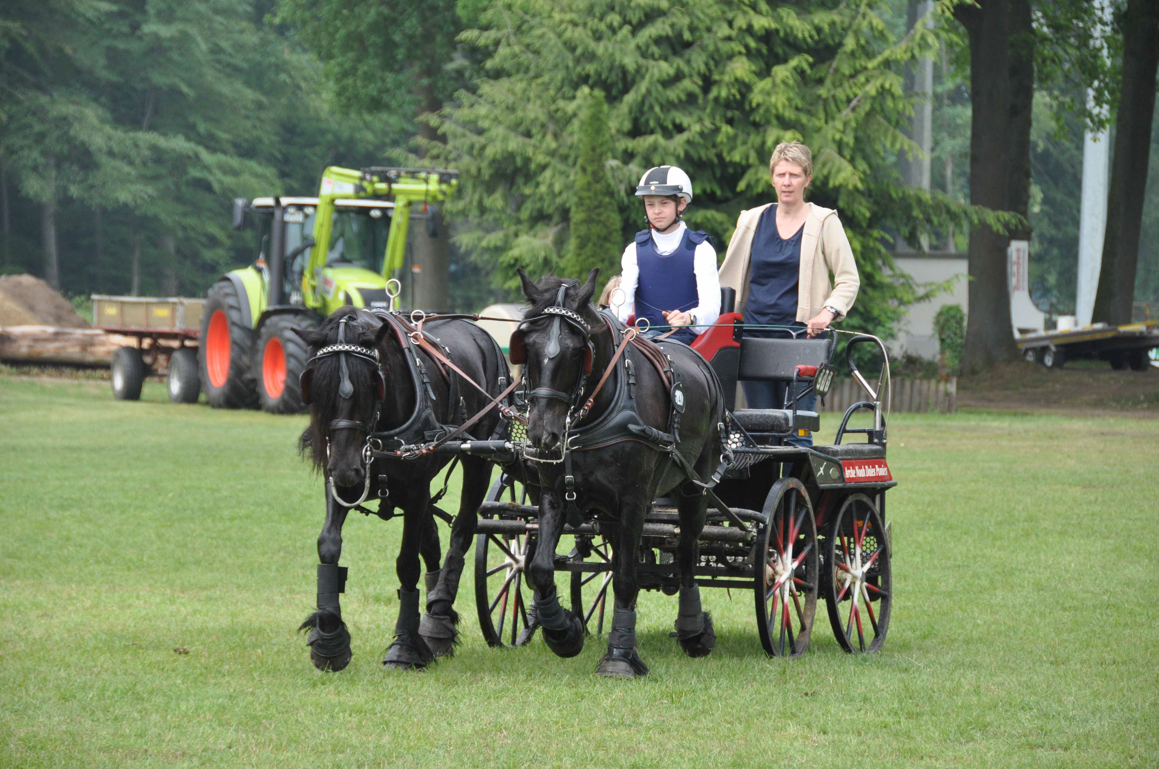 Iris Winzösch ist die Beifahrerin des Dales Pony Zweispänners in Riesenbeck nach dem Marathon