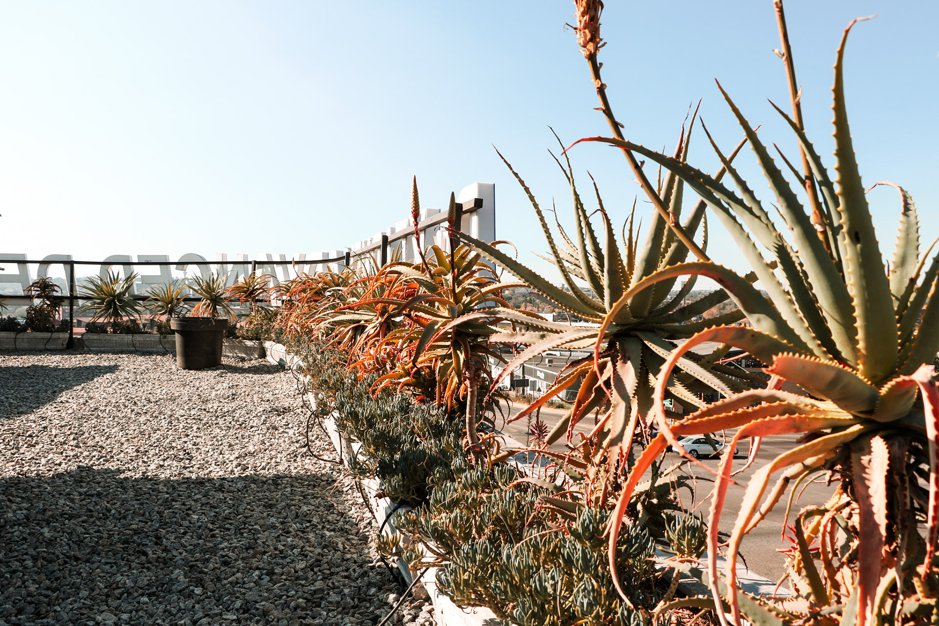 Exterior Rooftop