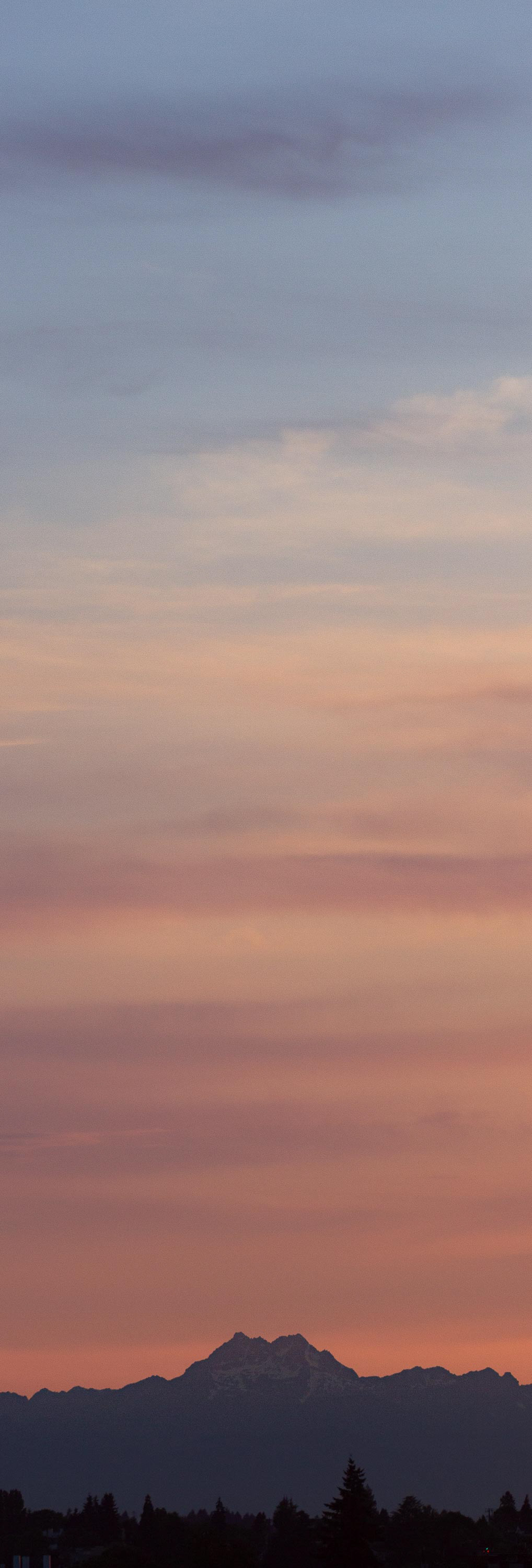 100mm, ISO 100, 1/200 sec at f/2.8
