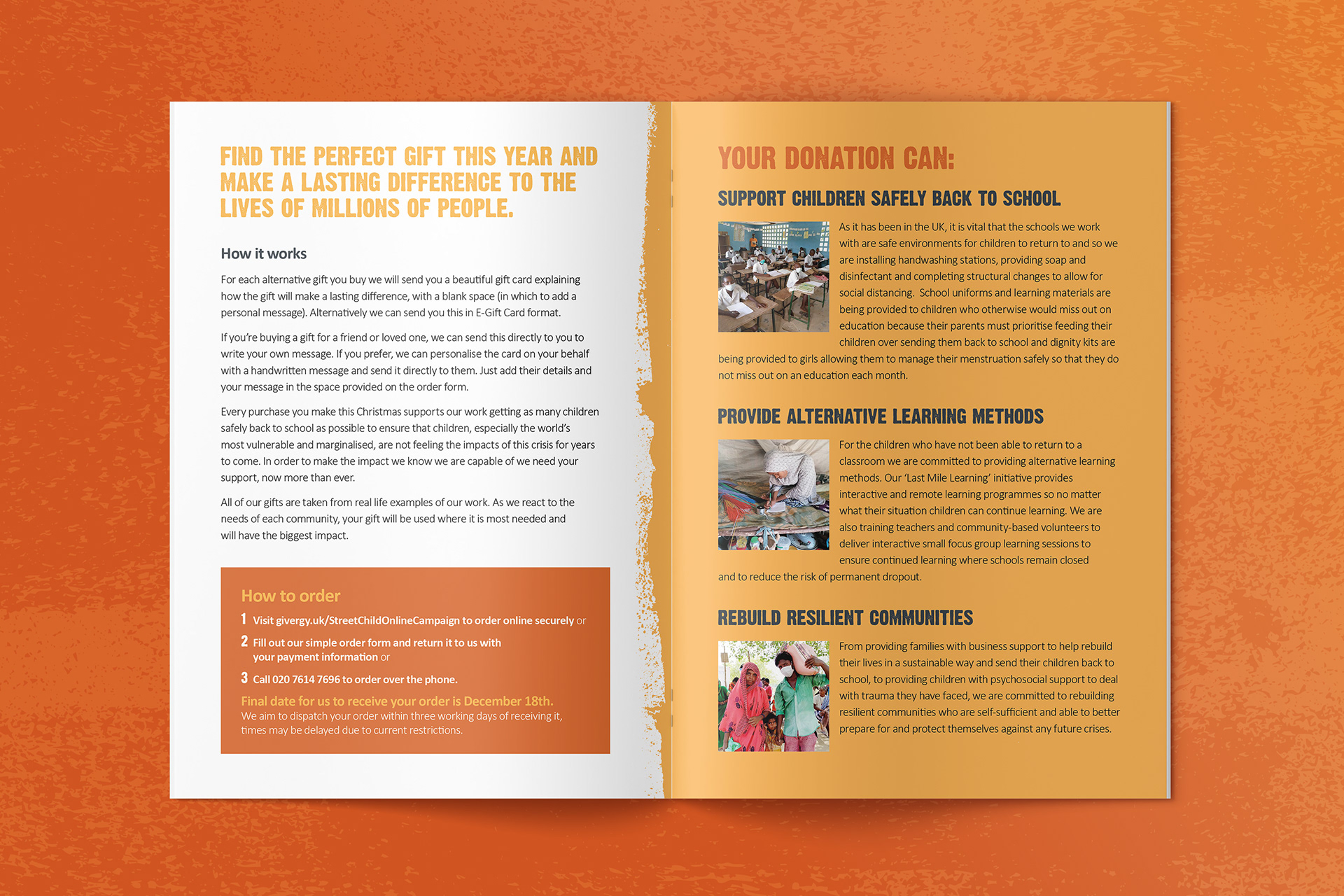 Campaign brochure spread