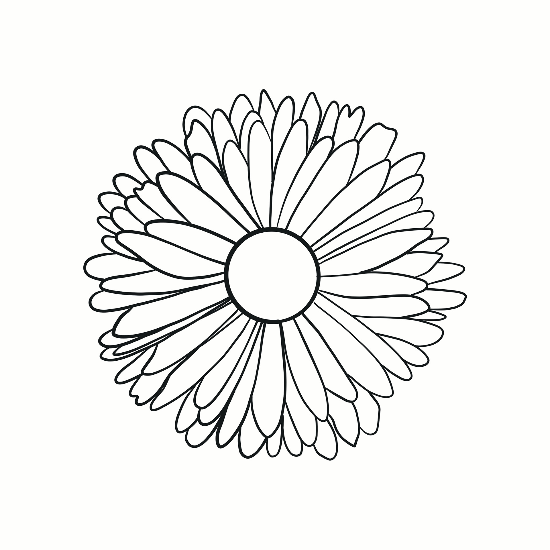 Fine line before adding colour and texture