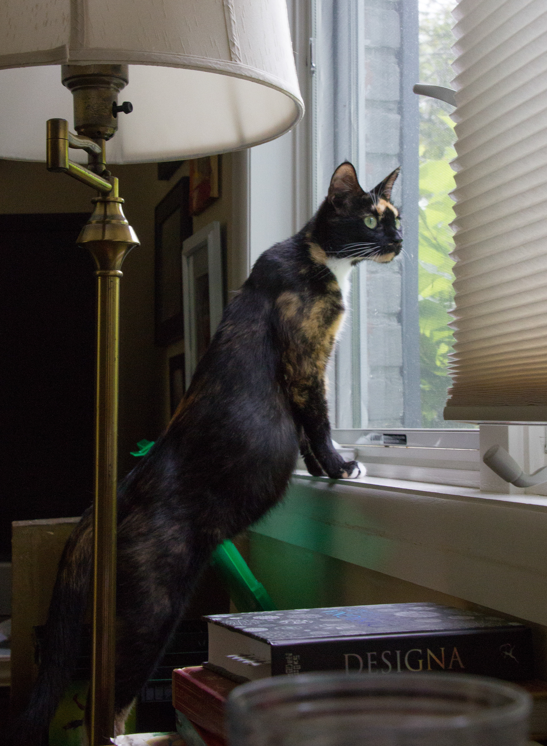 clementine's  mama, peaches