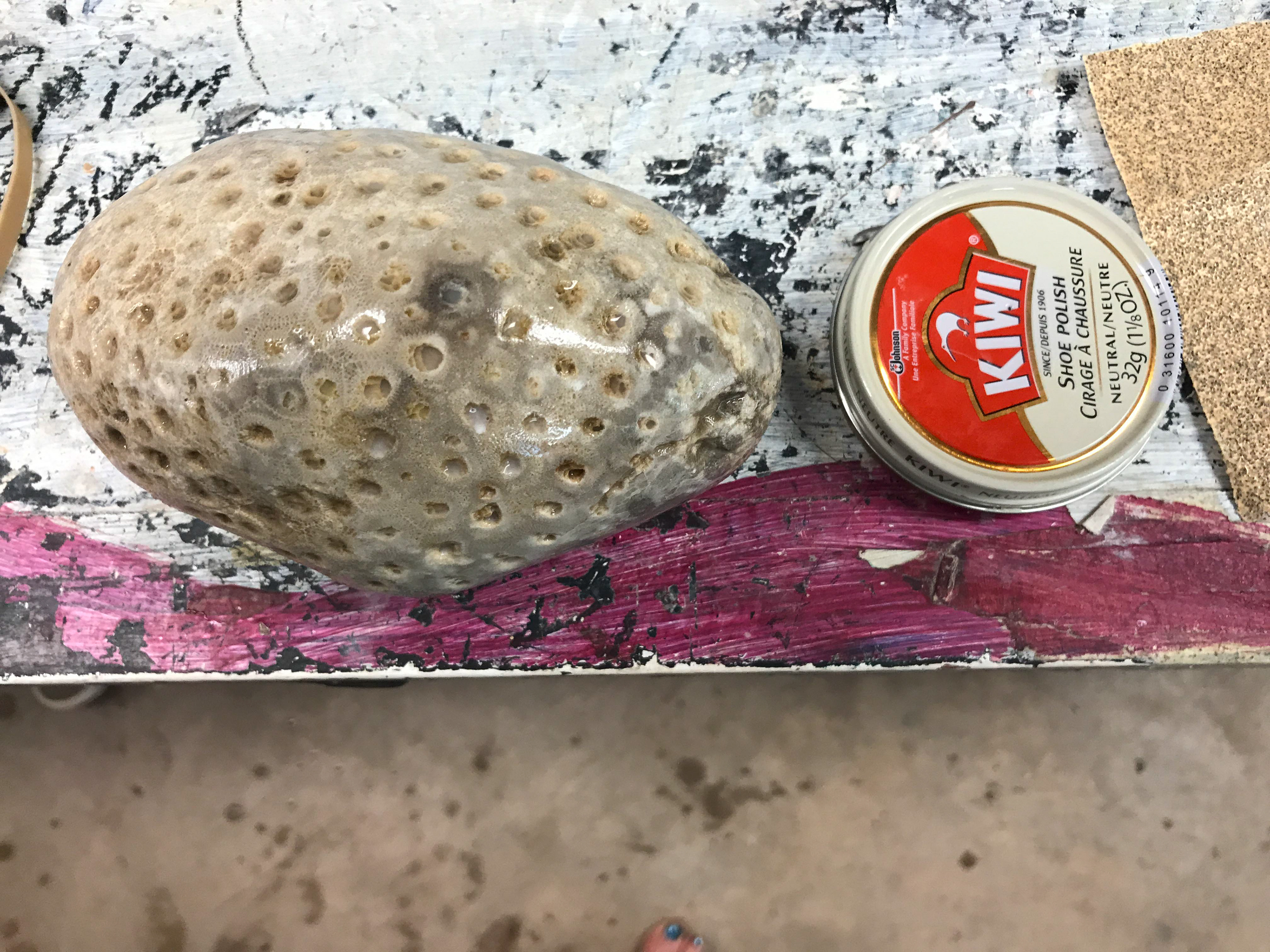 partially polished petoskey