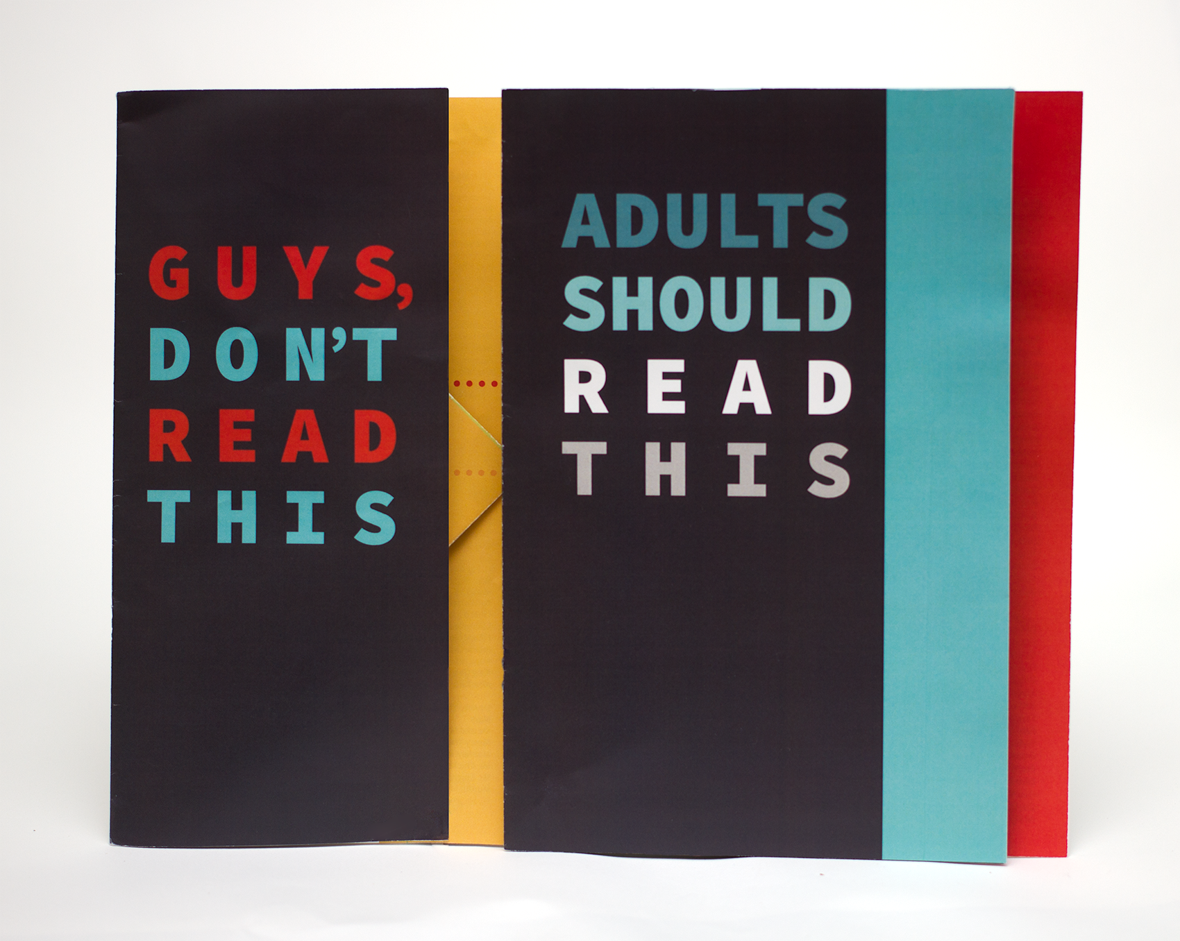 Now onto the second booklet