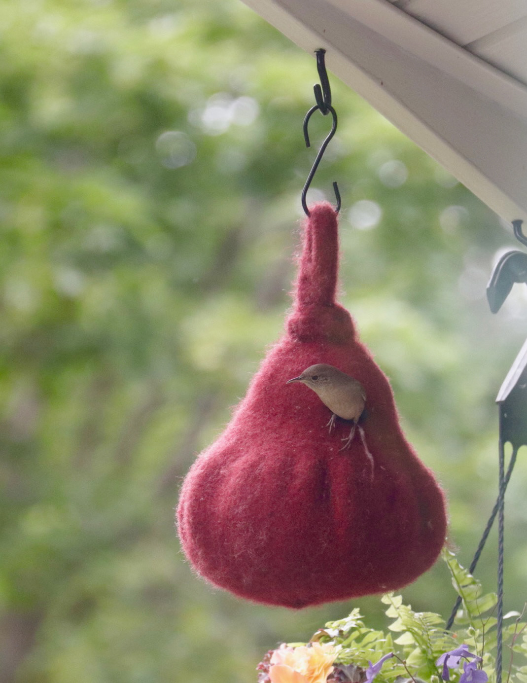 knit birdhouse, wren