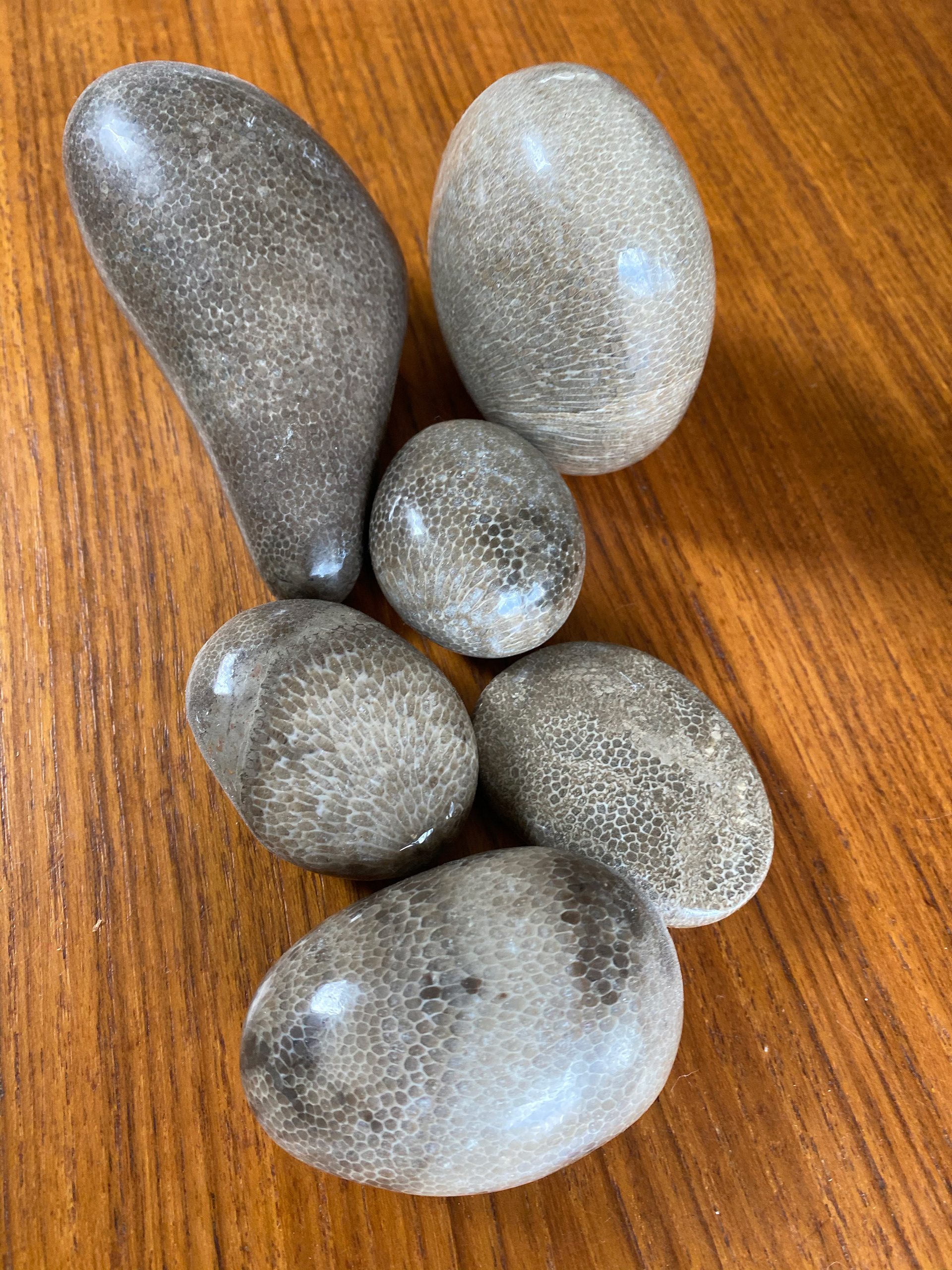 what's a Charlevoix stone? It's close to Petoskey...